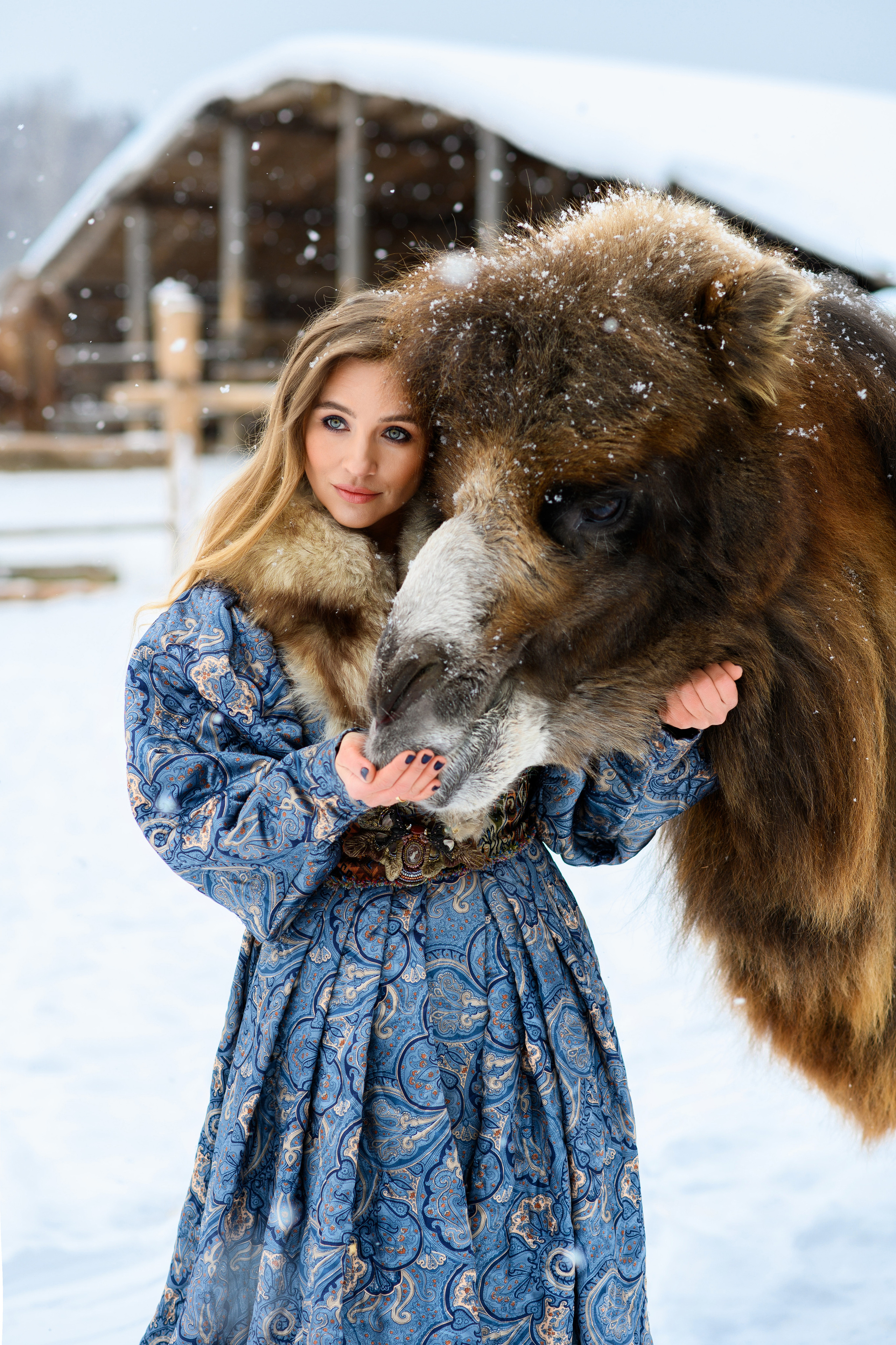 Верблюд. Свадебный и семейный фотограф Максим Сорокин