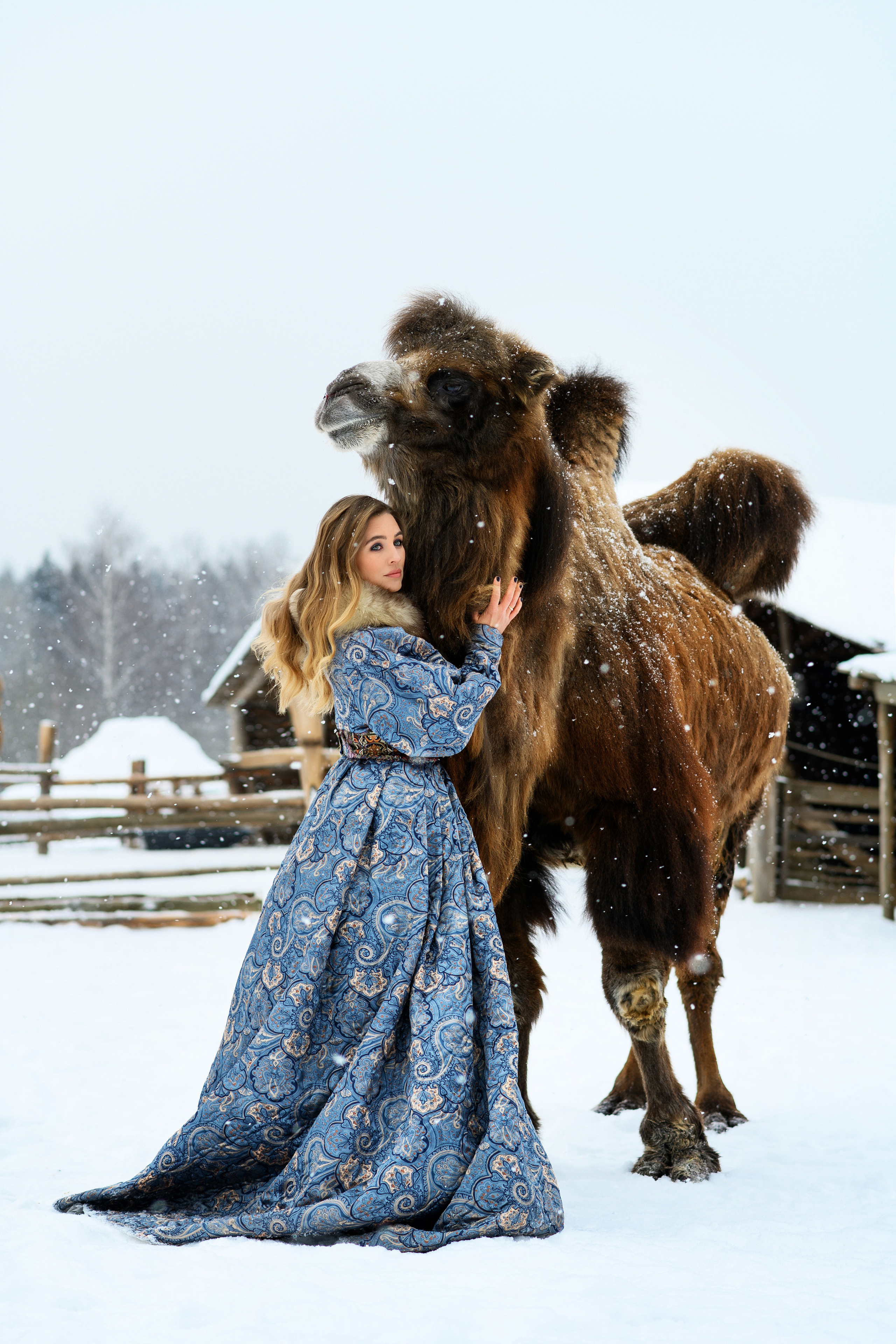 Верблюд. Свадебный и семейный фотограф Максим Сорокин