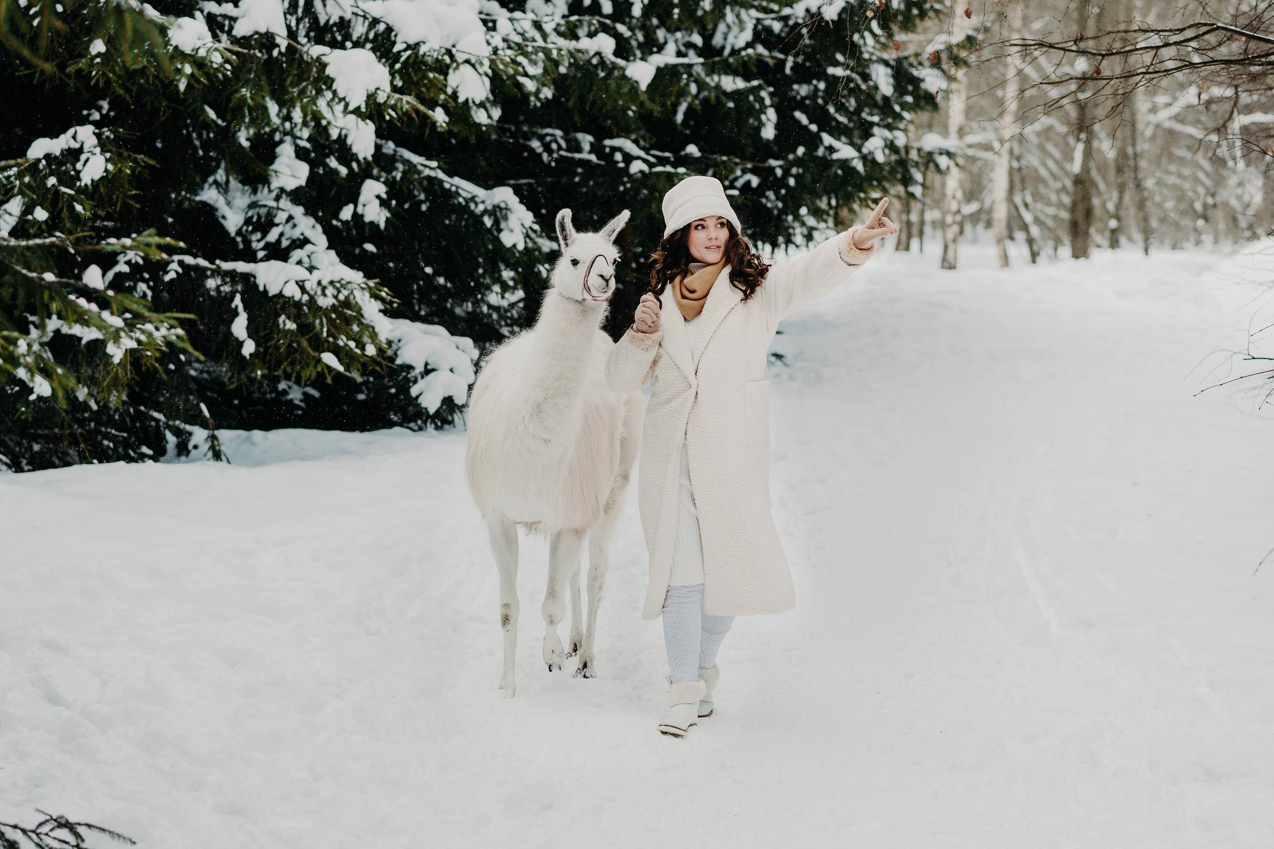 Лав-стори с альпаками. Свадебный и семейный фотограф Максим Сорокин