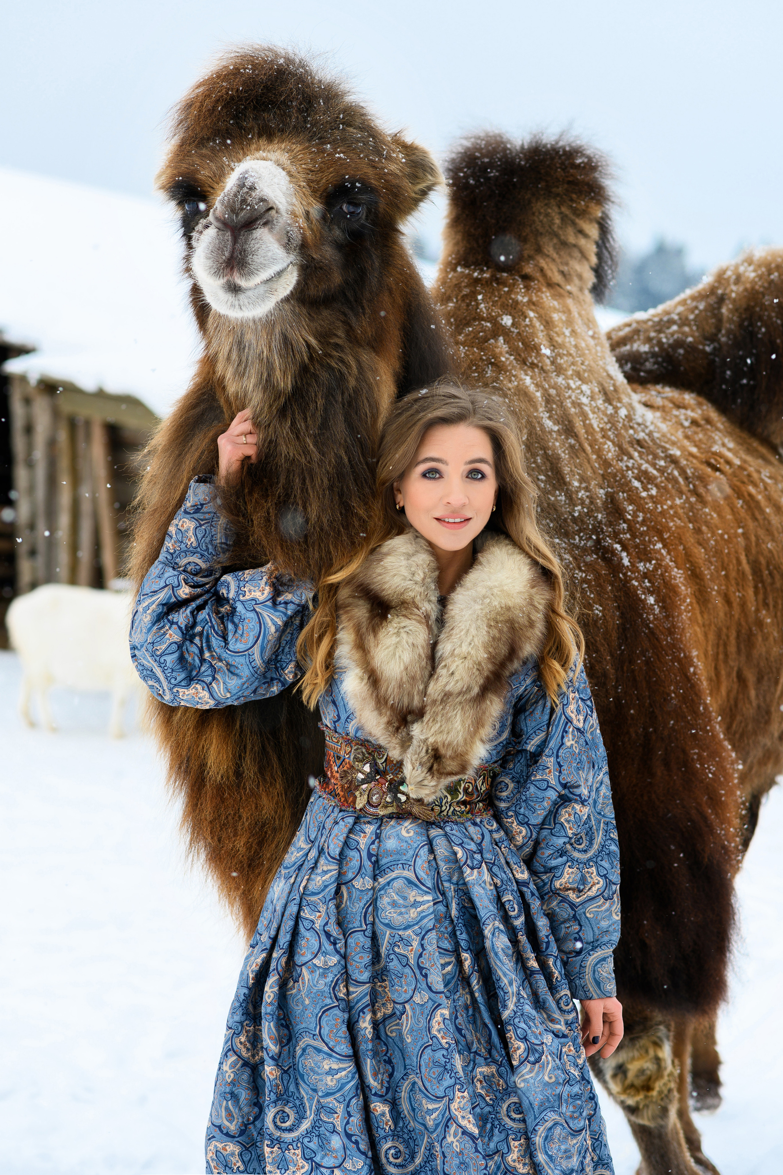 Верблюд. Свадебный и семейный фотограф Максим Сорокин