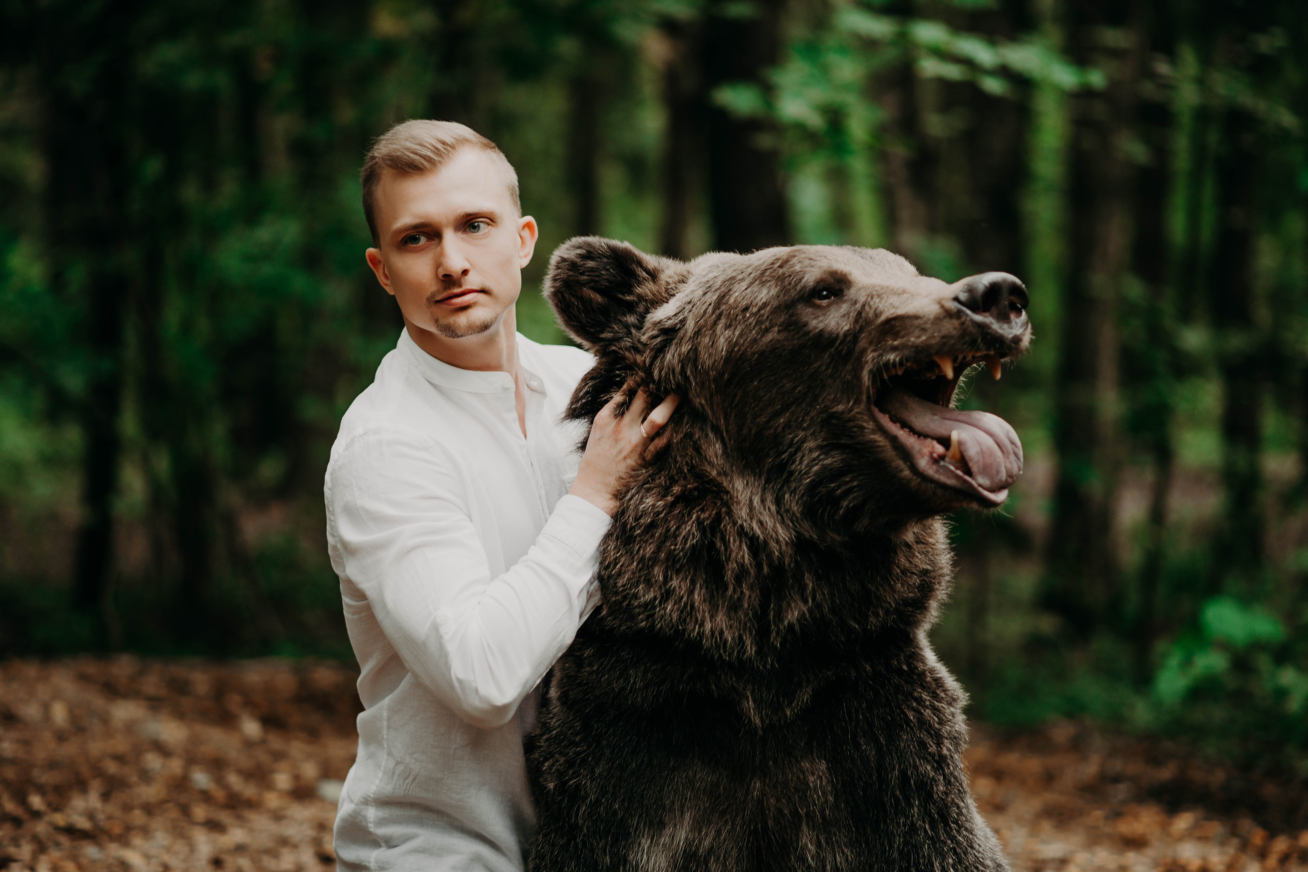 Медведи. Свадебный и семейный фотограф Максим Сорокин