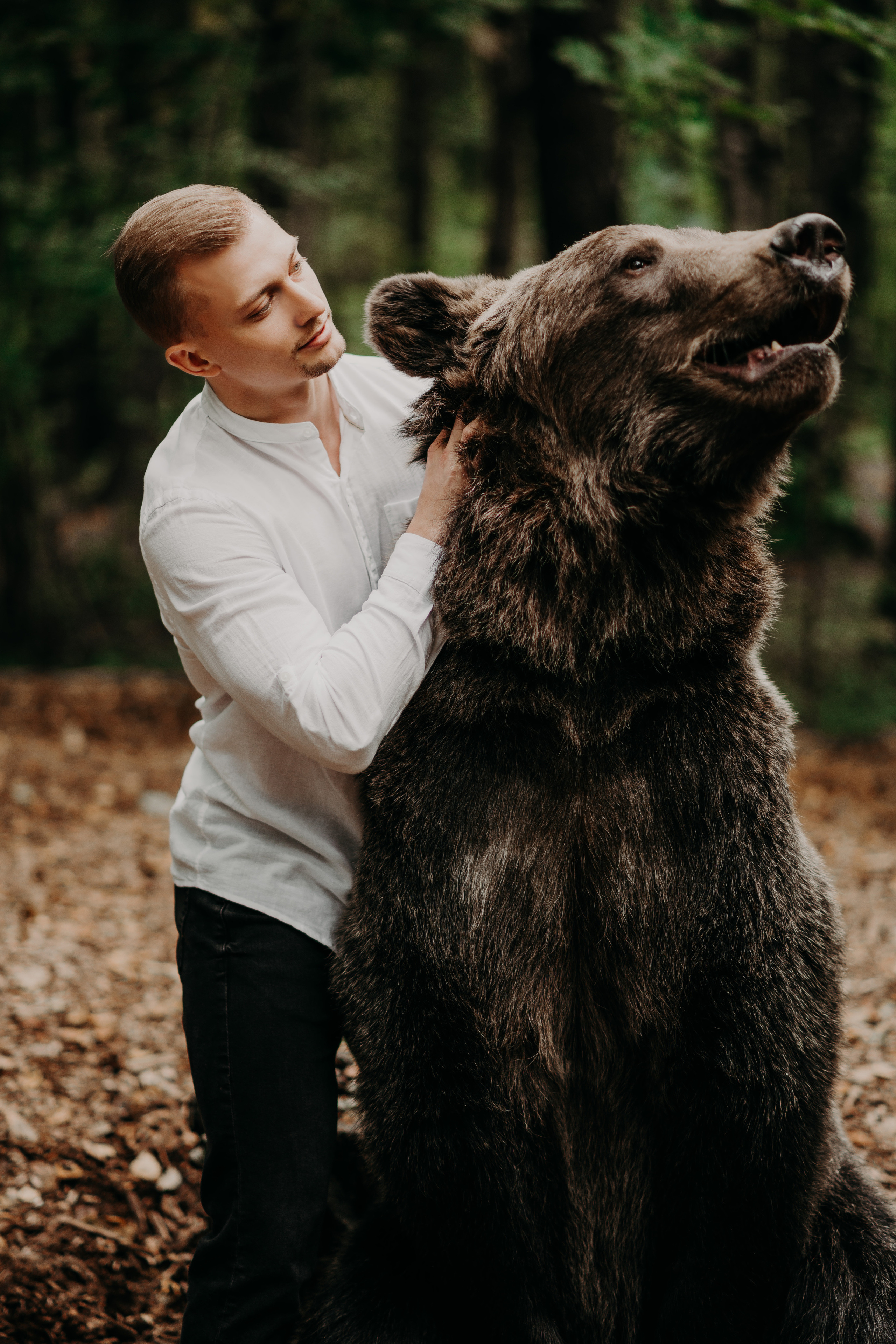 Медведи. Свадебный и семейный фотограф Максим Сорокин