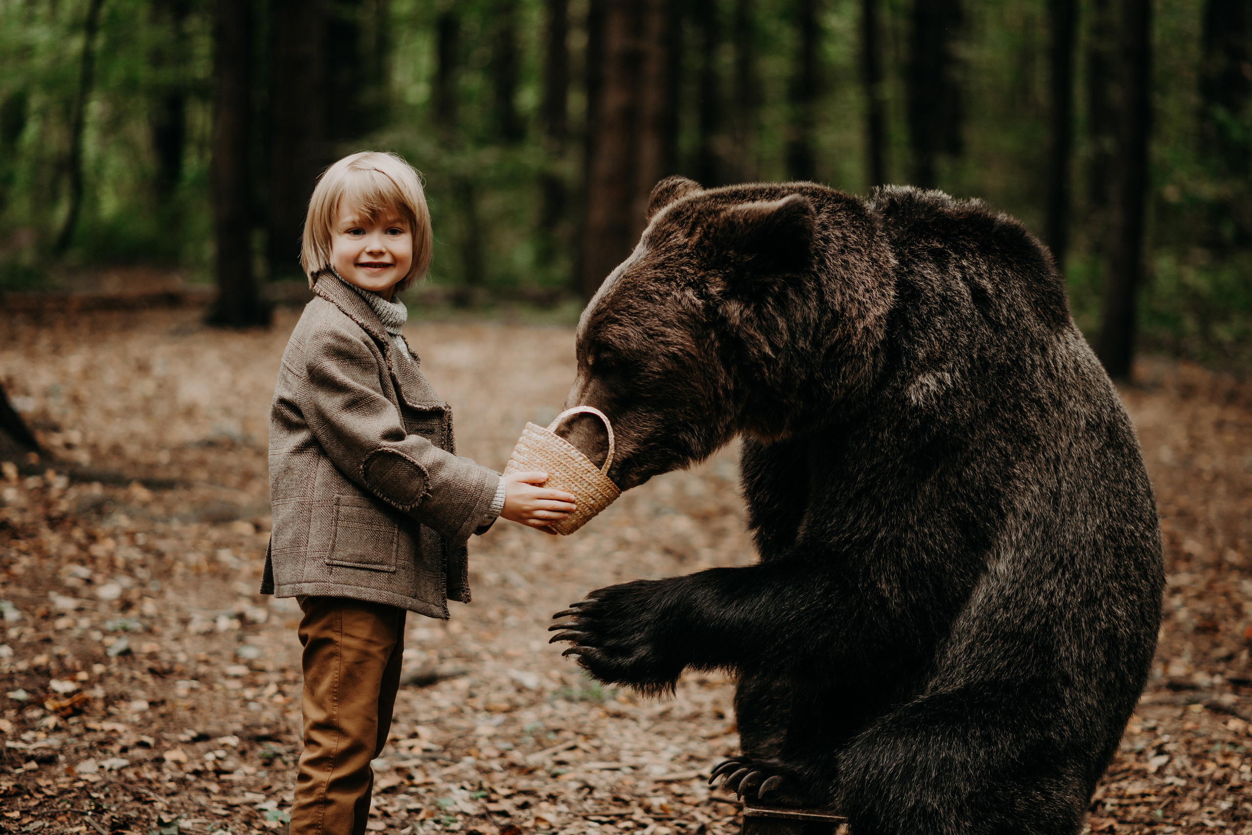 Медведи. Свадебный и семейный фотограф Максим Сорокин