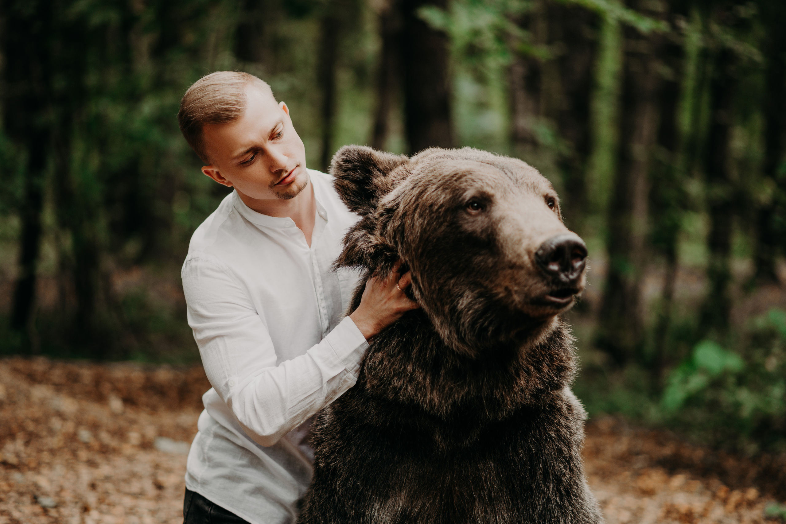Медведи. Свадебный и семейный фотограф Максим Сорокин