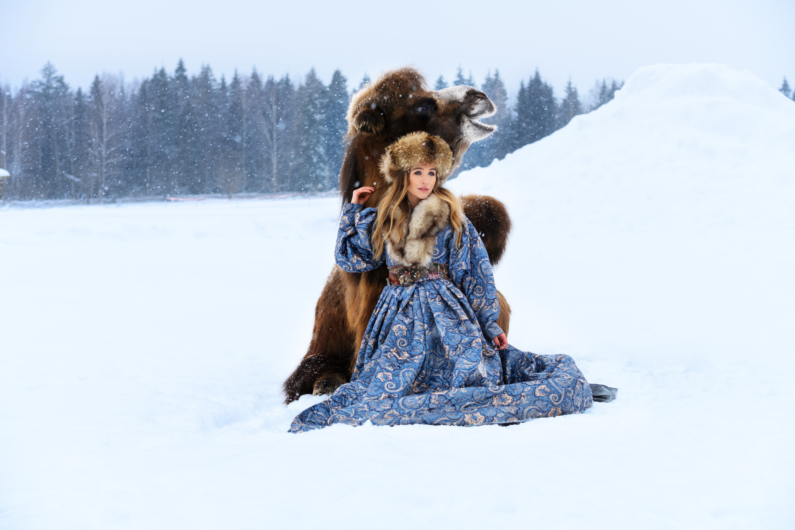 Верблюд. Свадебный и семейный фотограф Максим Сорокин
