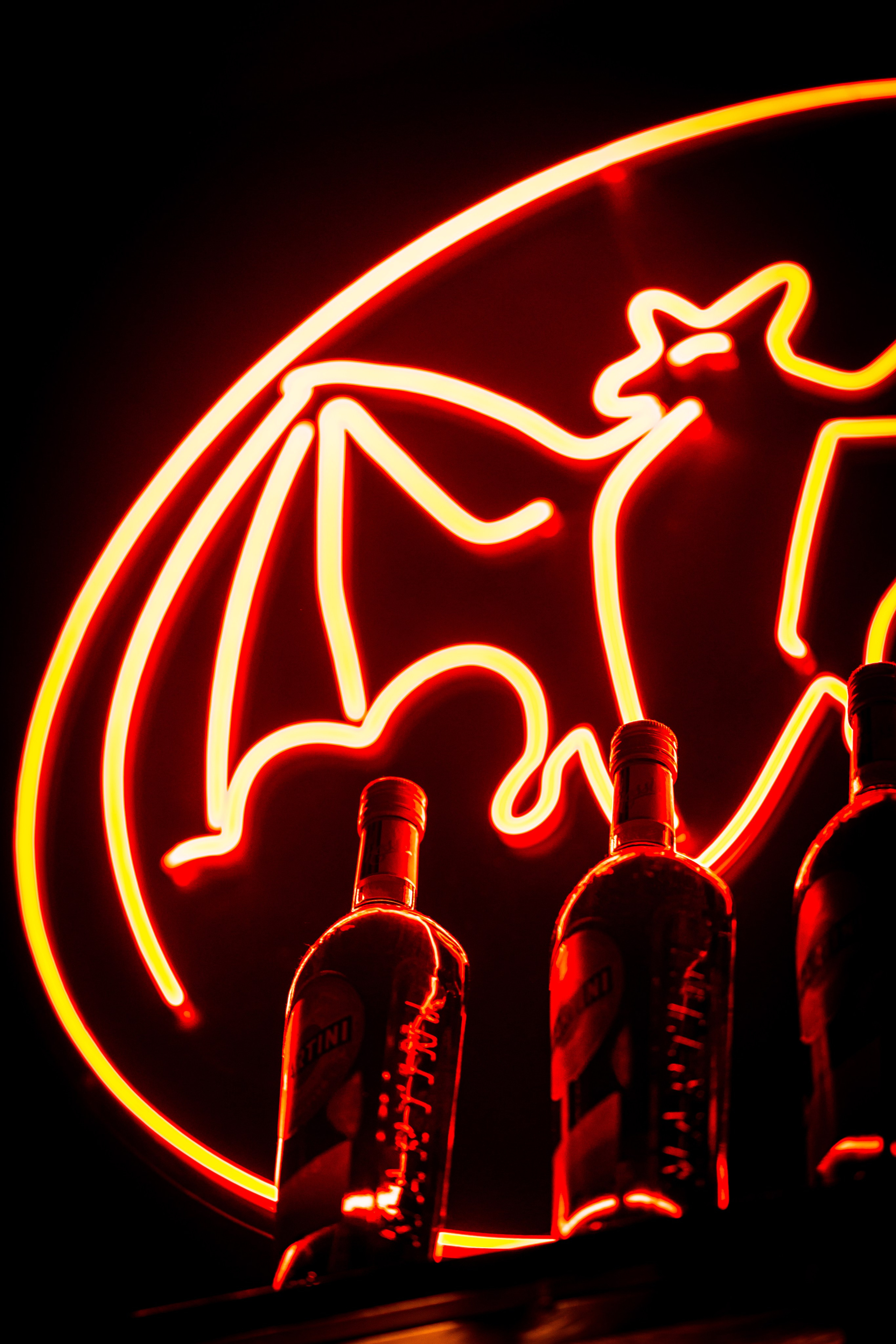 Rooks 14.12 HB. Анастасия Паршукова — фотограф Шерегеш Новосибирск