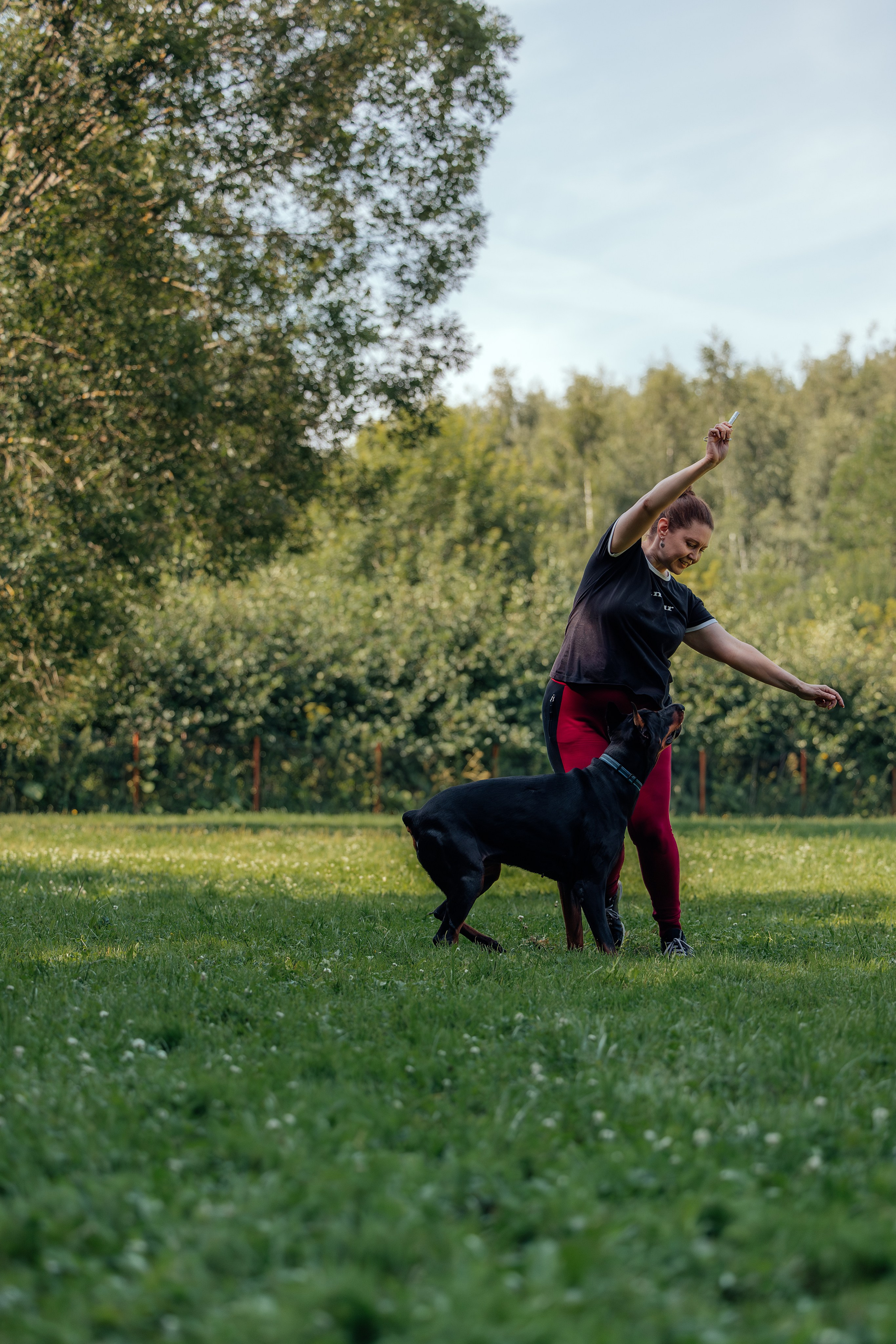 Доберман Айза. Фотограф Анималист в Москве Анастасия Жучкова