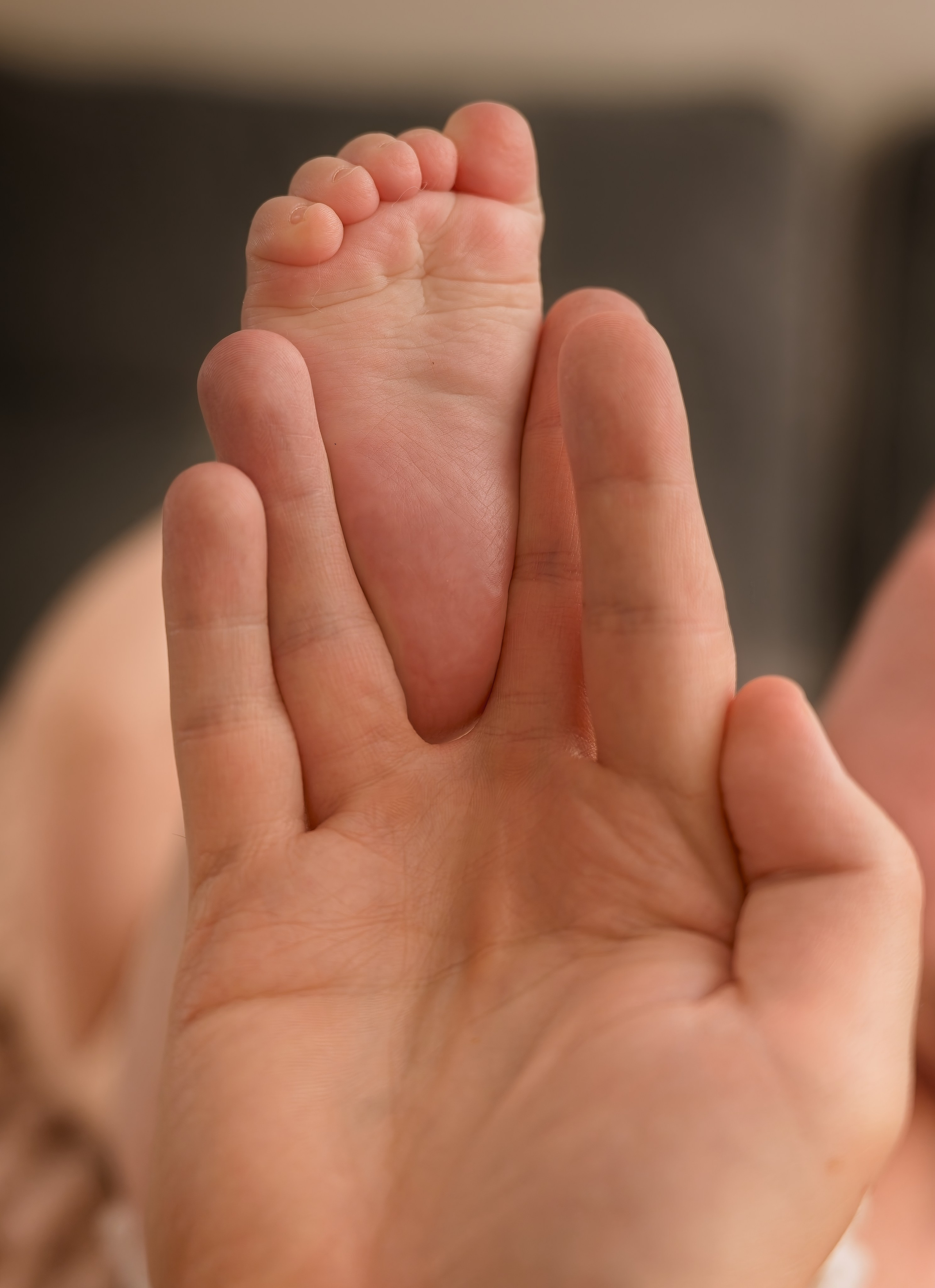 Семья. Семейный и интерьерный фотограф в Норильске и Красноярске