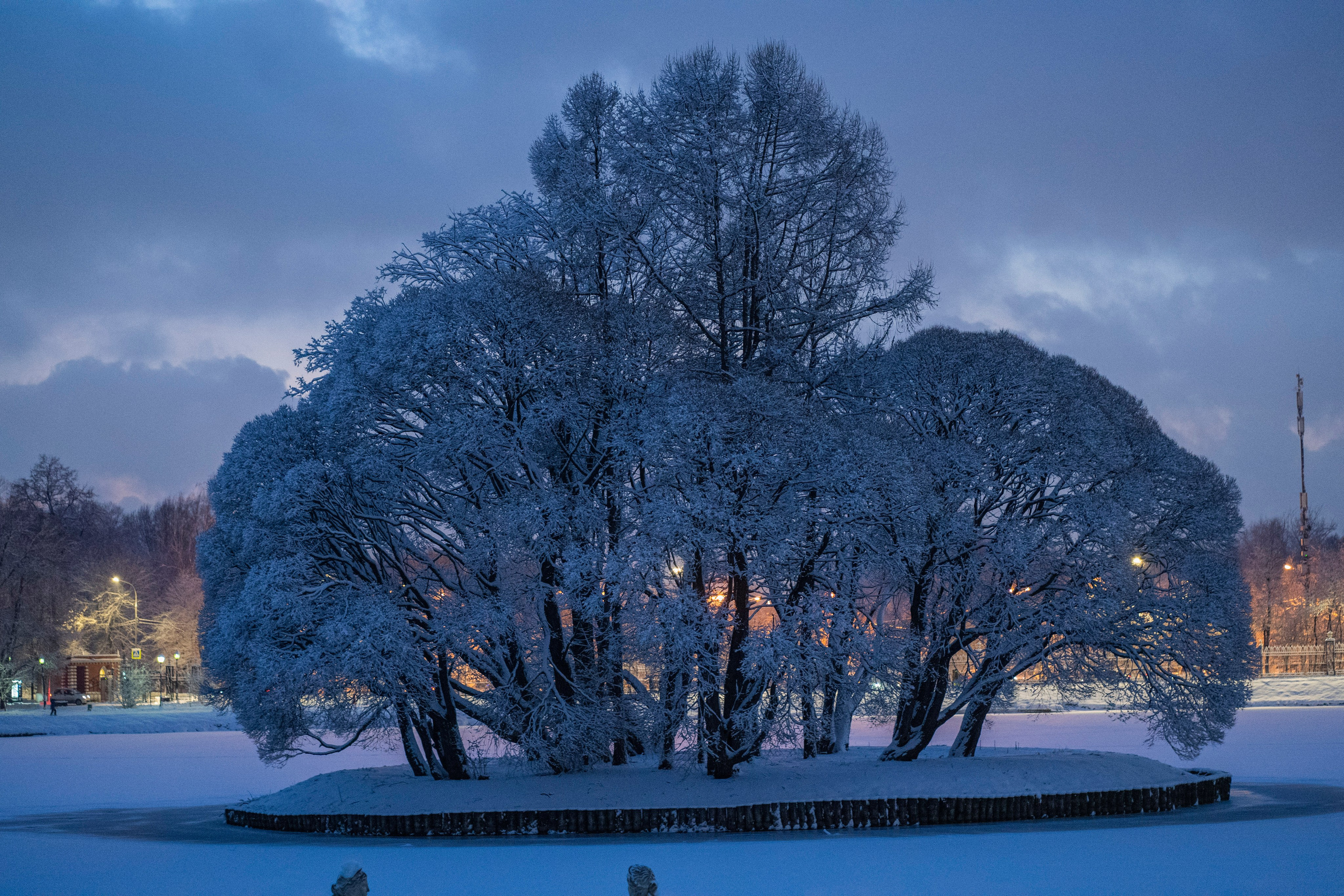 Фотокартины. Семейный фотограф Ирина Ильиных-Вольная в Москве и не только
