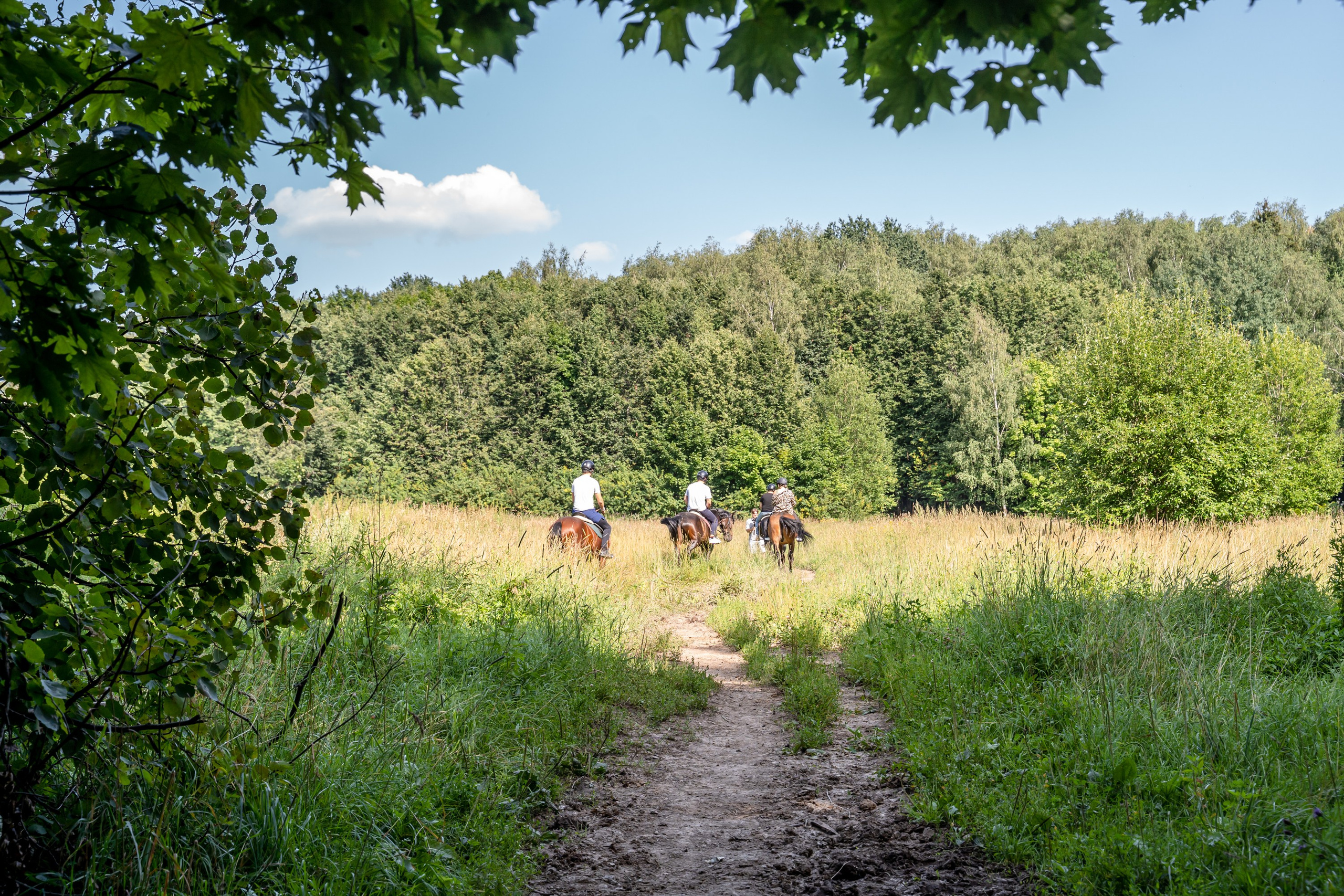 Корпоративные. Семейный и детский фотограф Ирина Ильиных-Вольная в Москве и не только