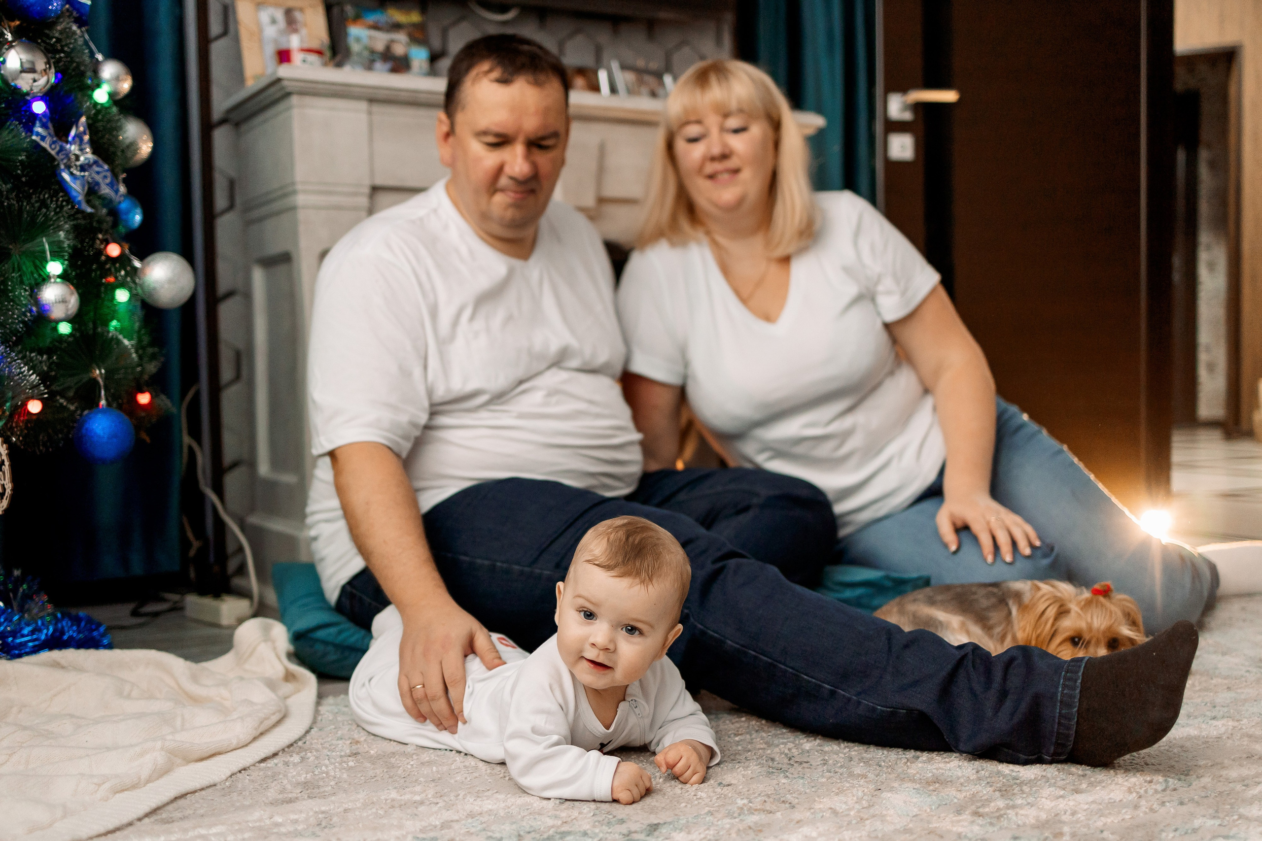 Домашняя история