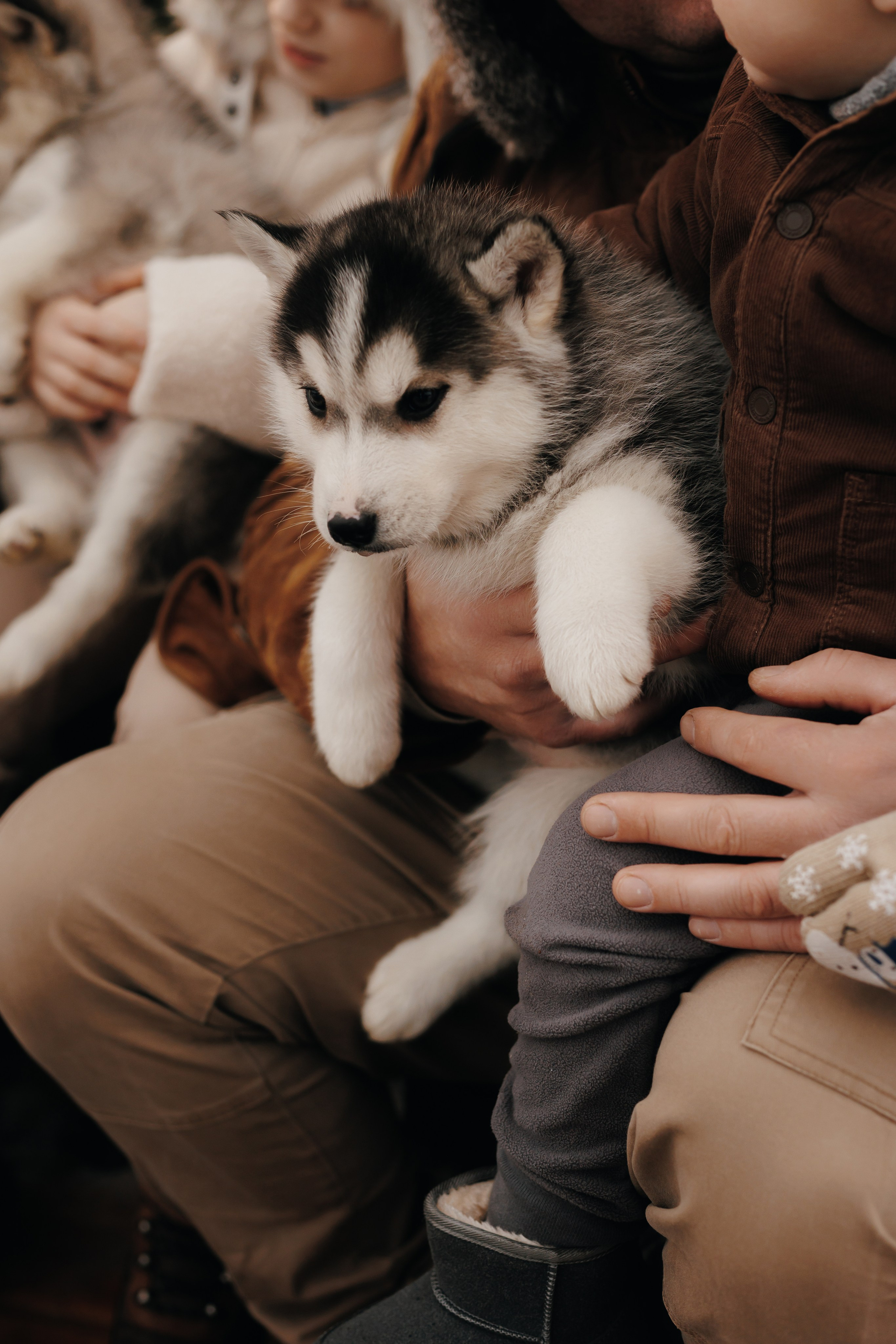 Winter 2024. Свадебный и семейный фотограф Витебск, Минск, Андрей Павлов