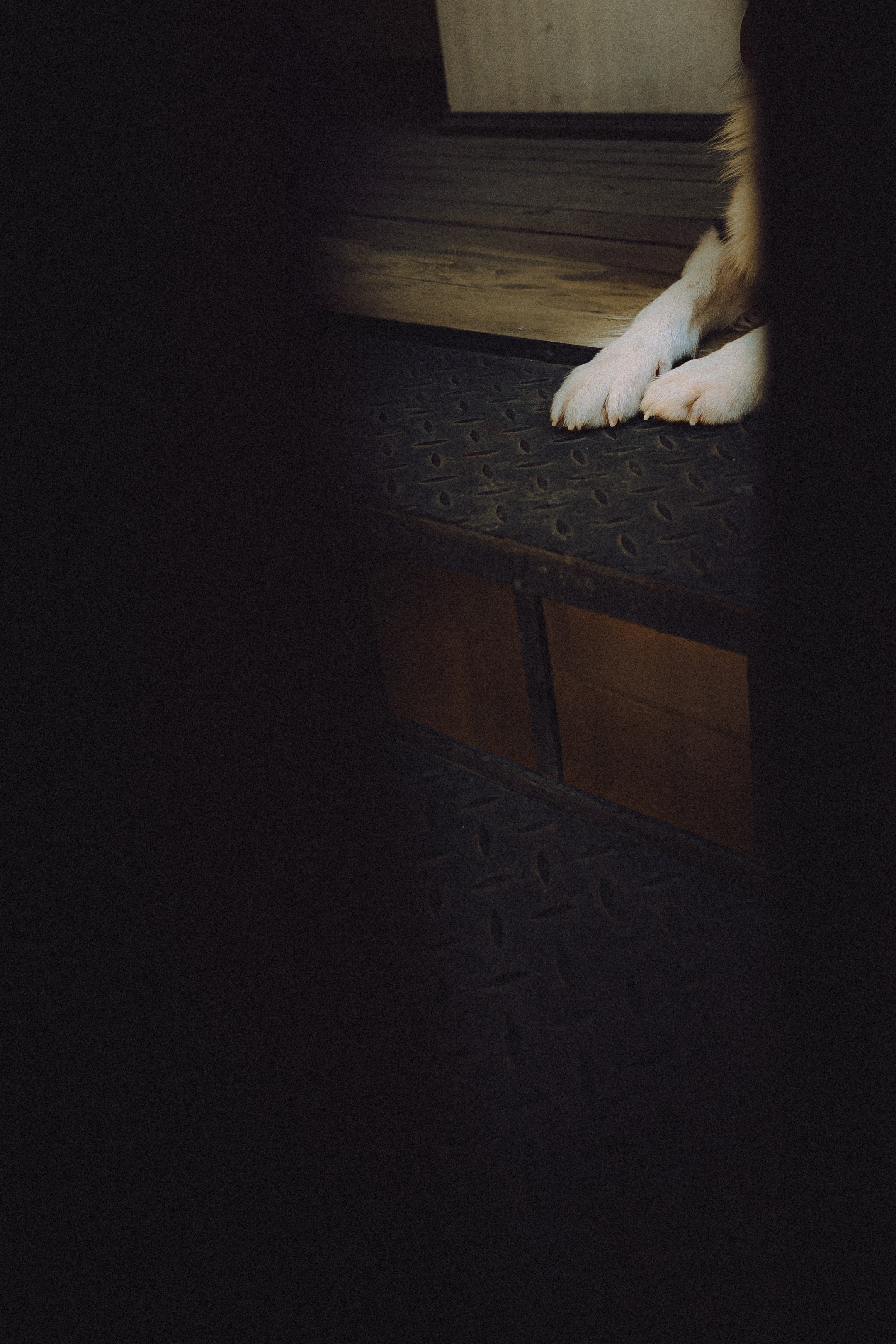 Саша, Рома и Один