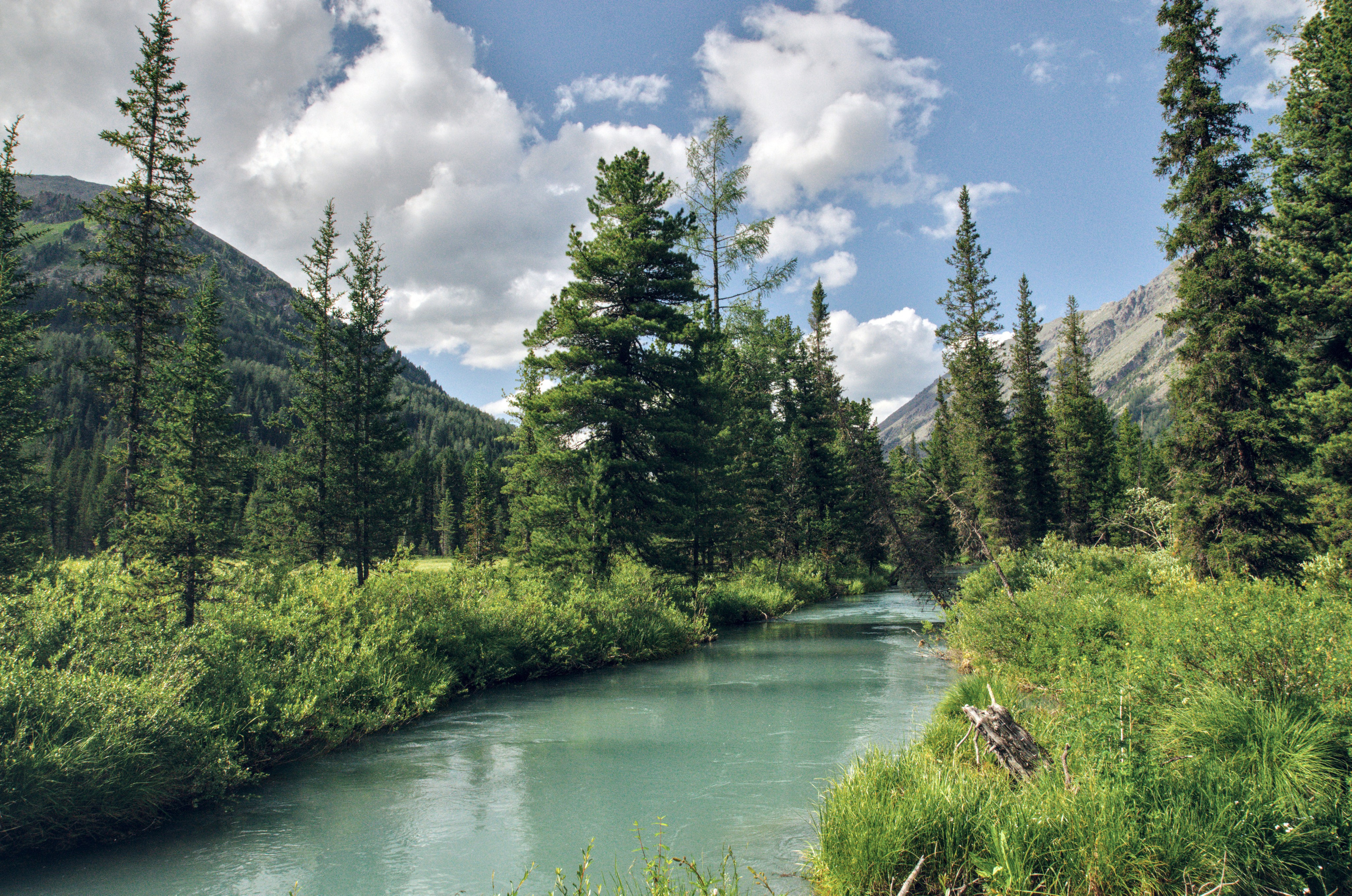 Алтай. Фотограф анималист, пейзажист, спортивные мероприятия. Новосибирск