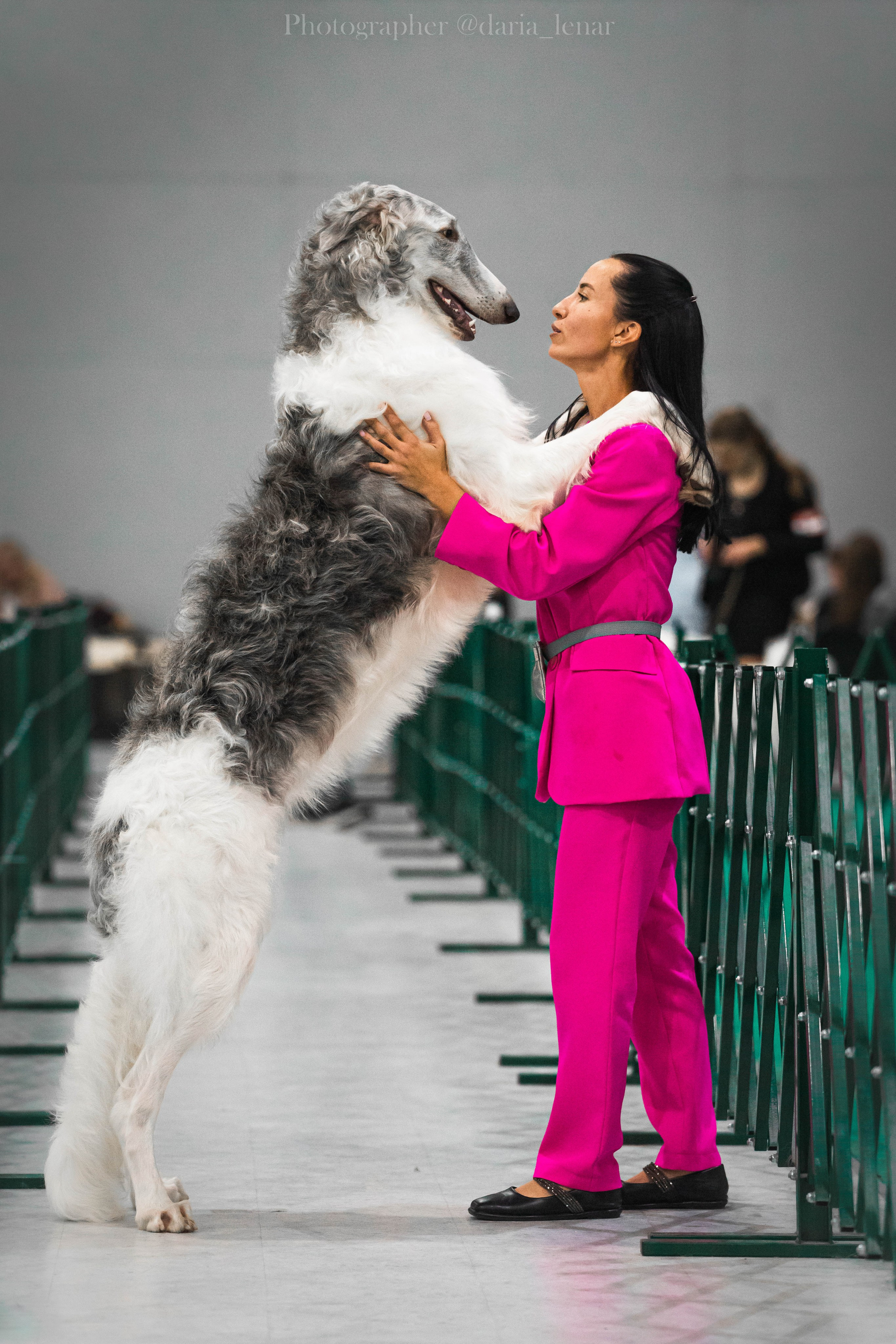 Выставки собак. Фотограф в Москве Ленарская Дарья