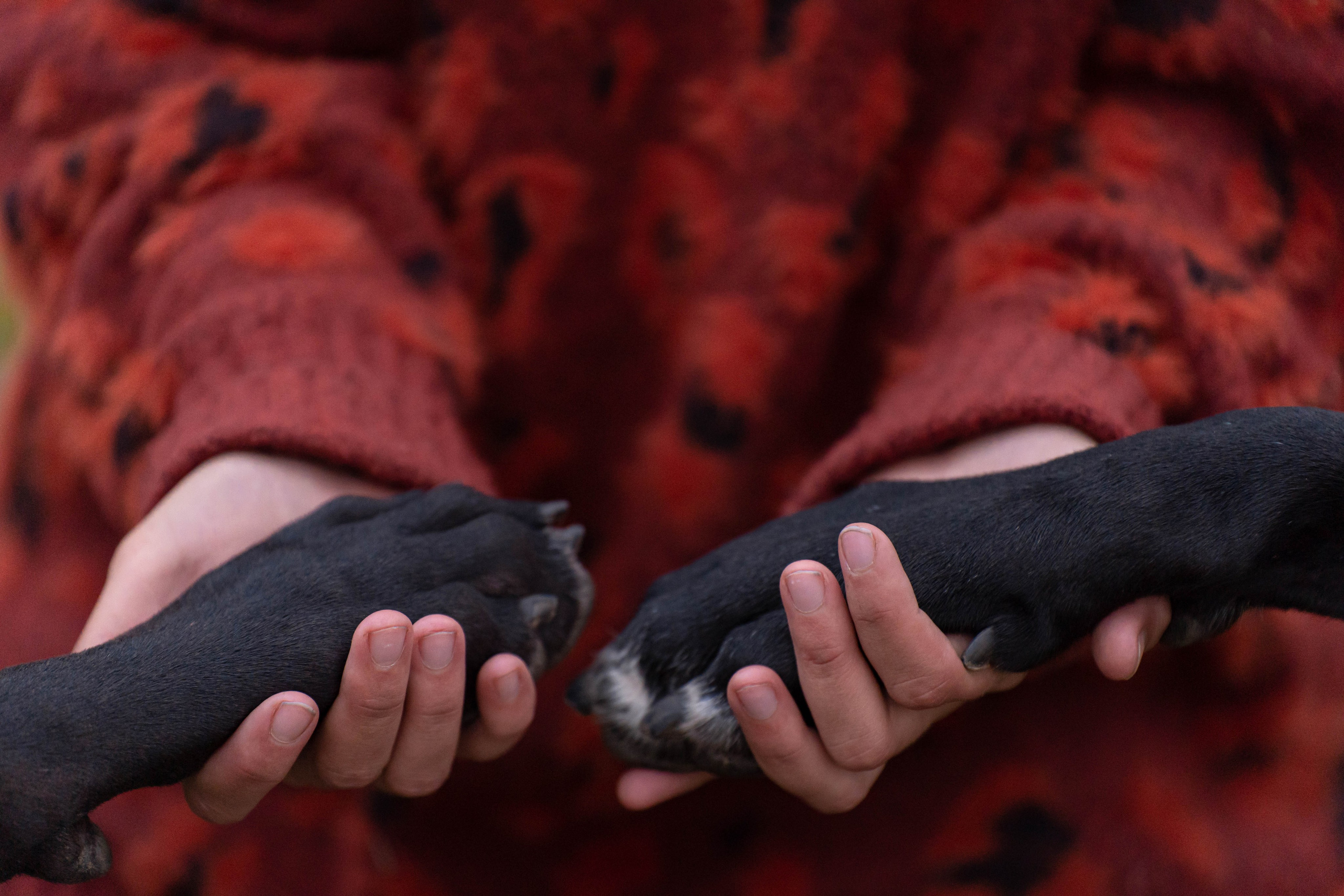 Анастасия, Сола, Квинта. Фотограф в Москве Ленарская Дарья