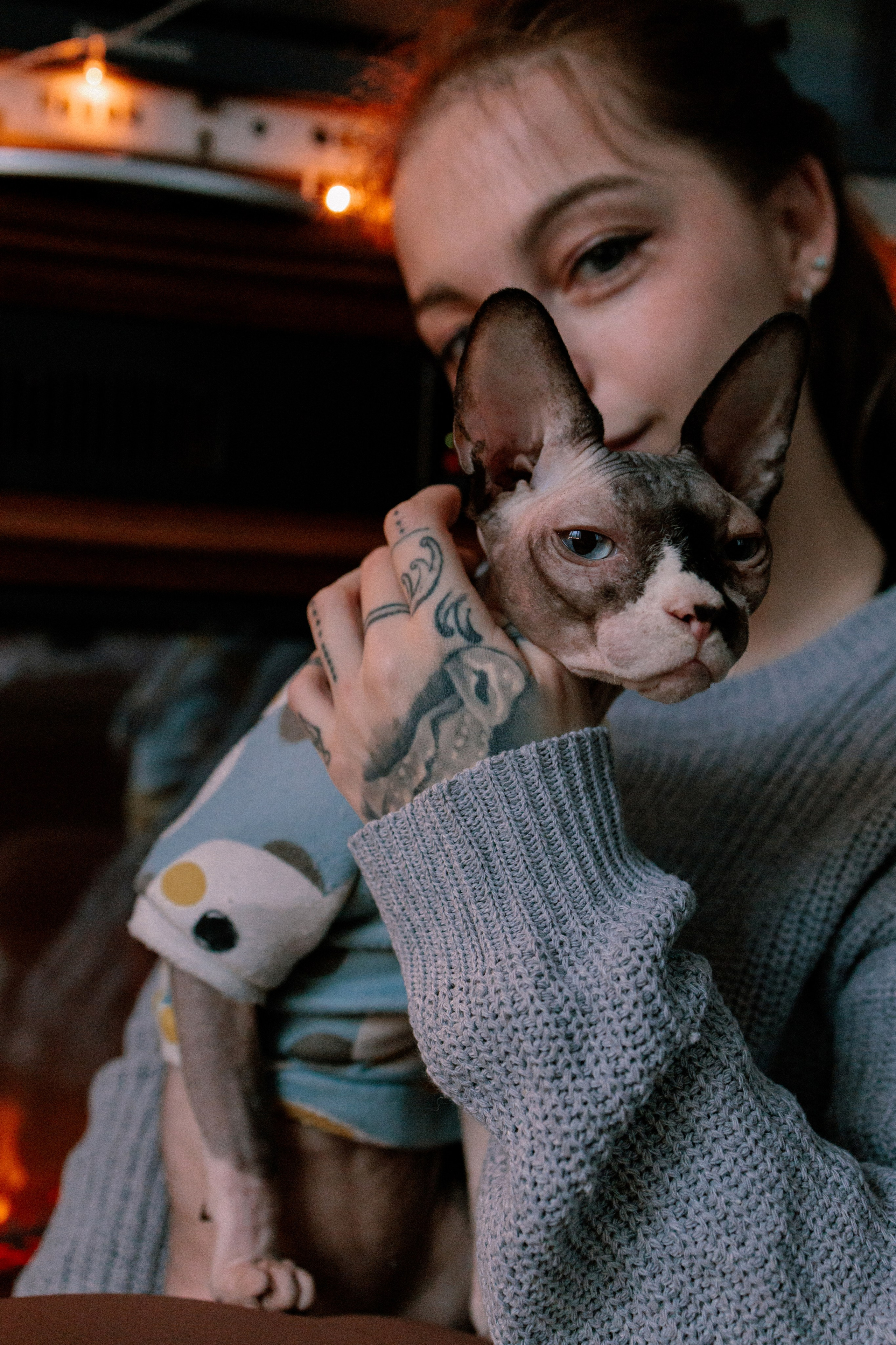 Алиса и котики. Фотограф в Санкт-Петербурге Алёна Губинская