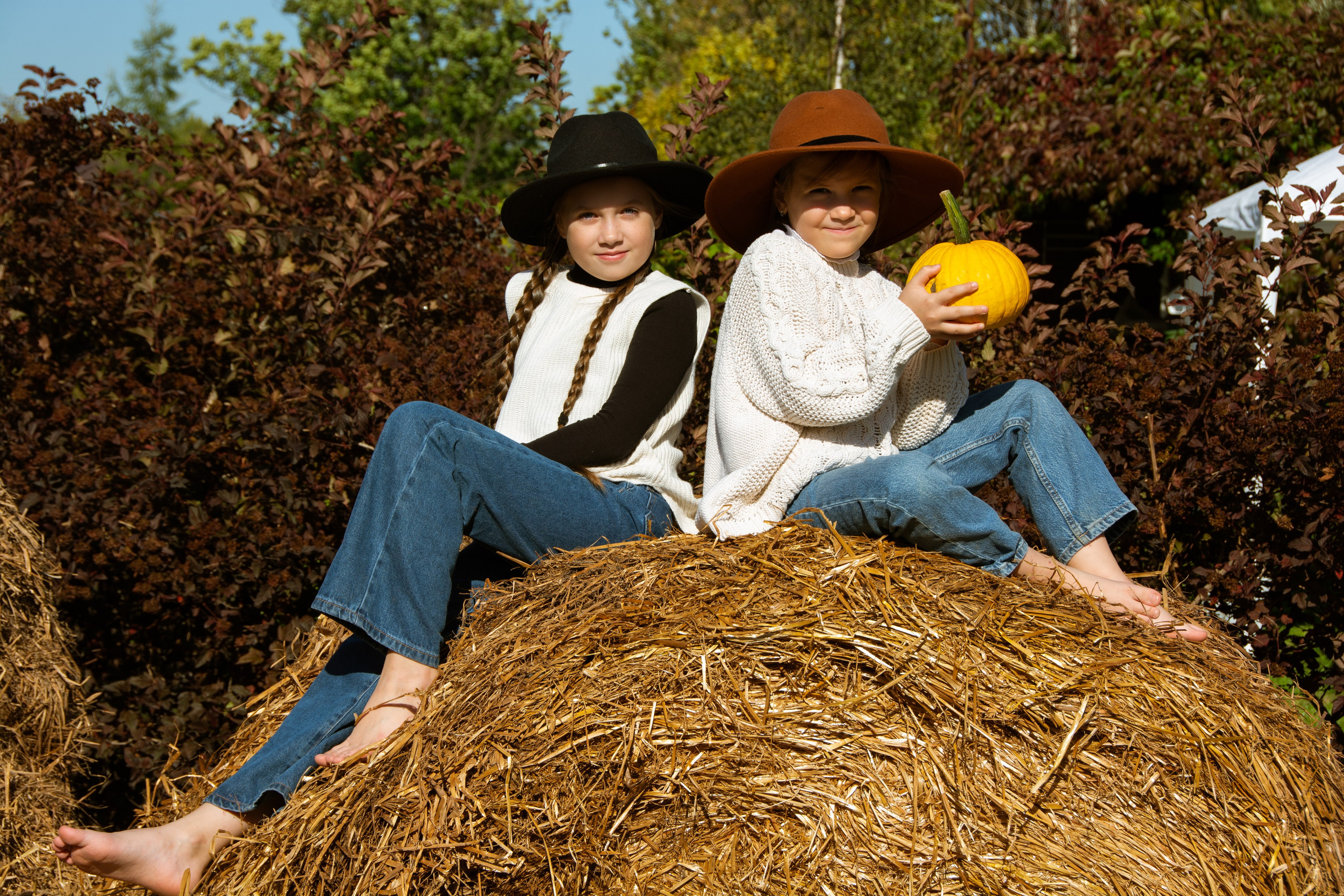 Цветник. закрытие сезона. Семейный и репортажный фотограф в Хабаровске Татьяна Болычева