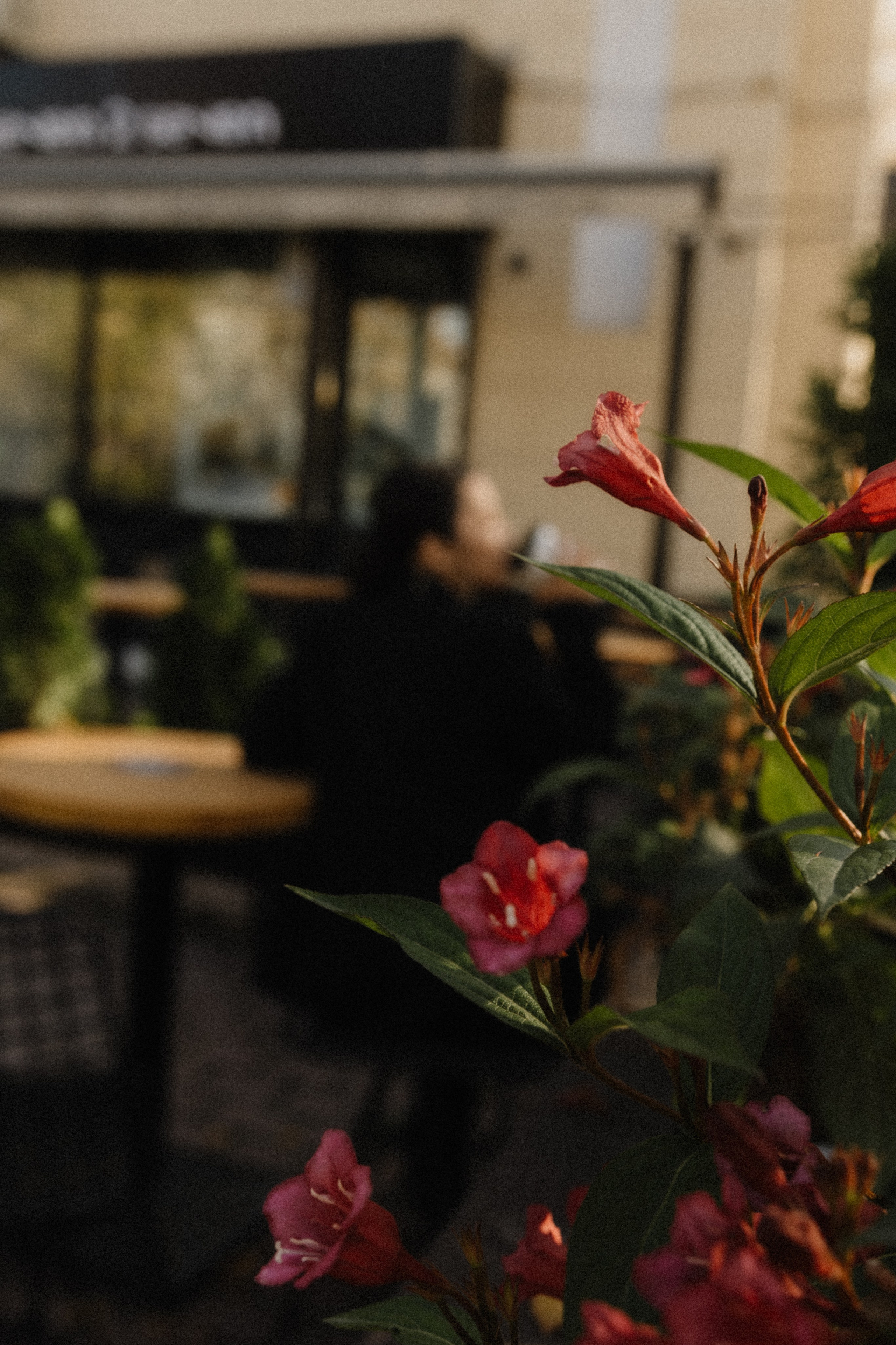 Фотосессия Тока. Фотографирую пары и индивидуальные съемки в Алматы Шунько Ирина