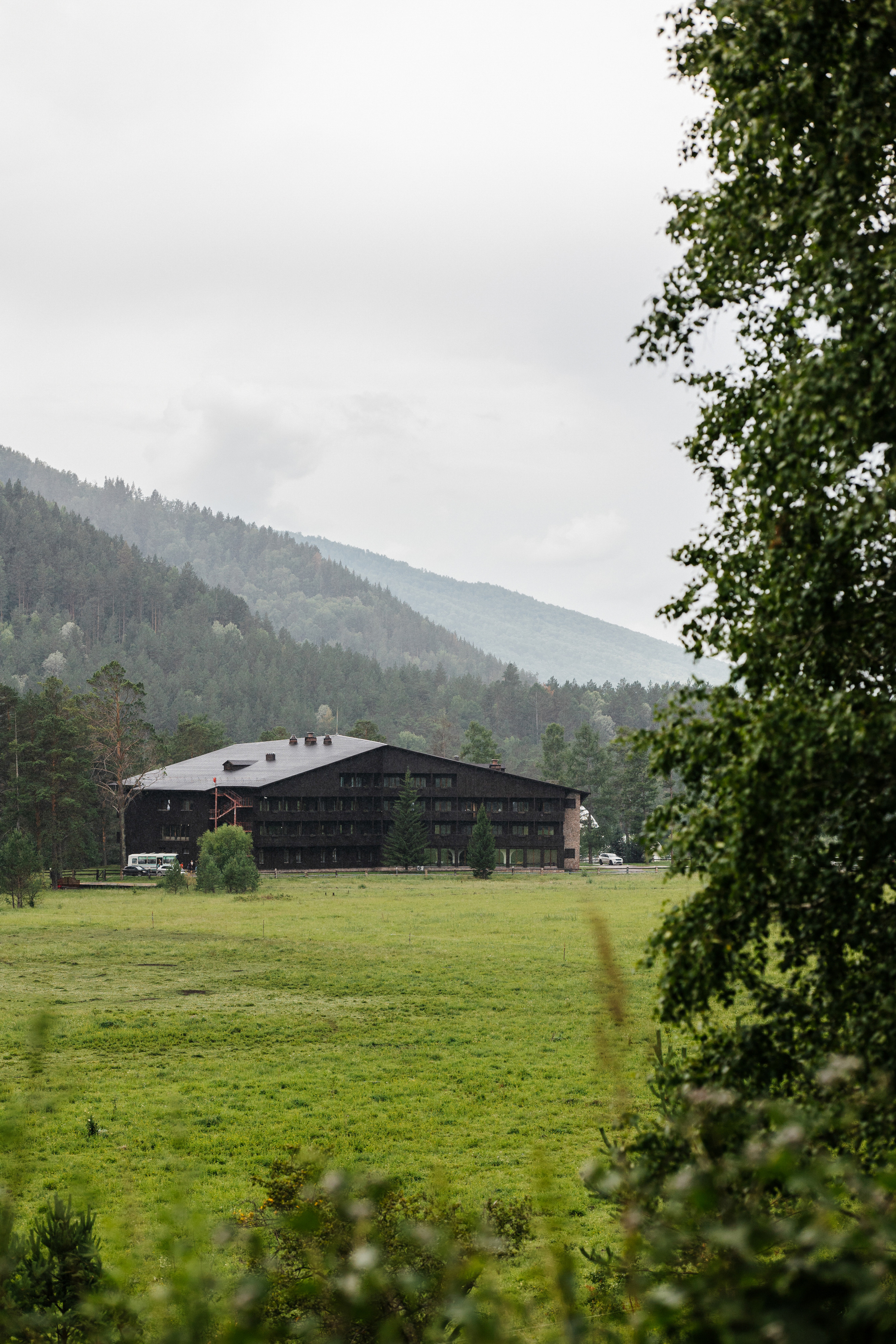 Свадьба на природе. Свадебный и репортажный фотограф в Москве Владимир Сергеев | Naysaikolo