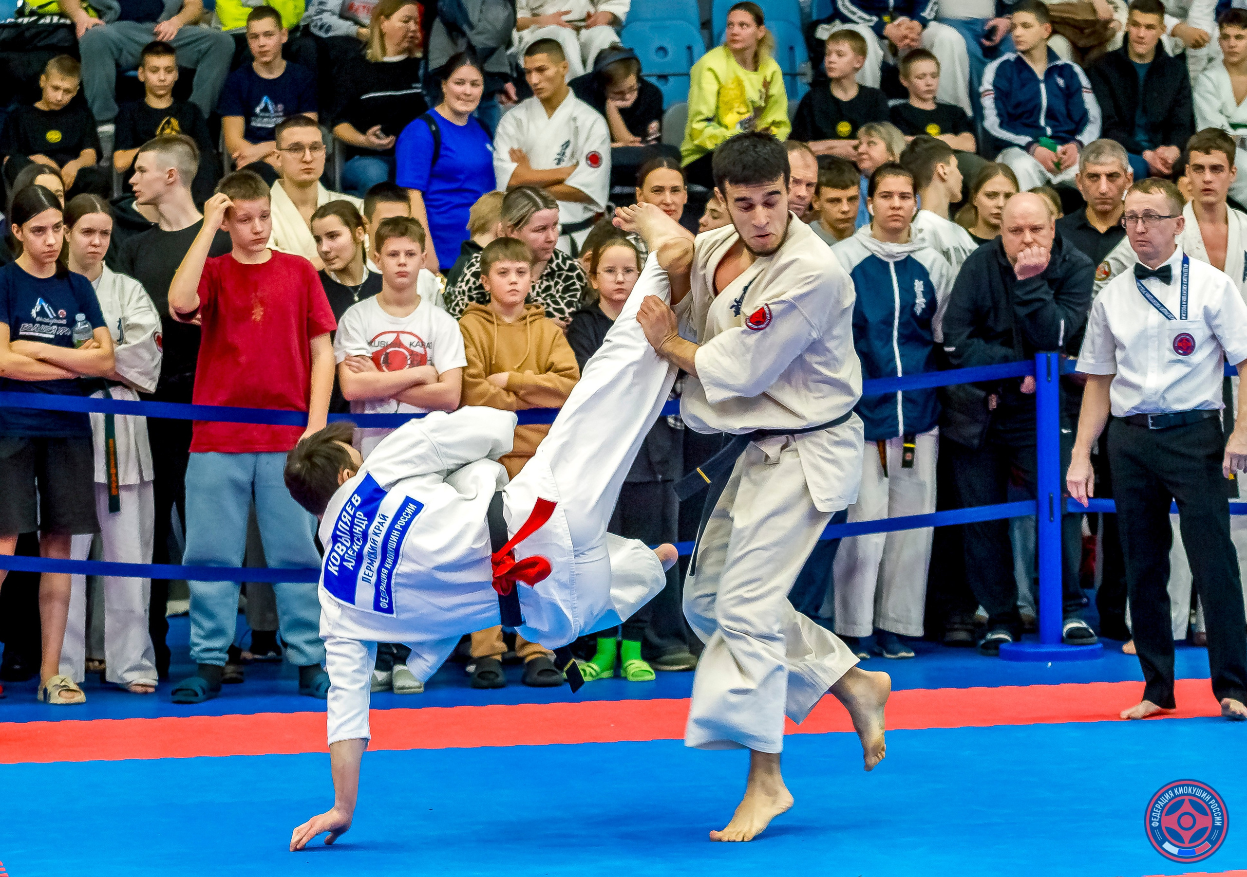 Международный турнир по киокушин «Открытый кубок Seiken». Репортажная съемка в Москве и области. Анималистика