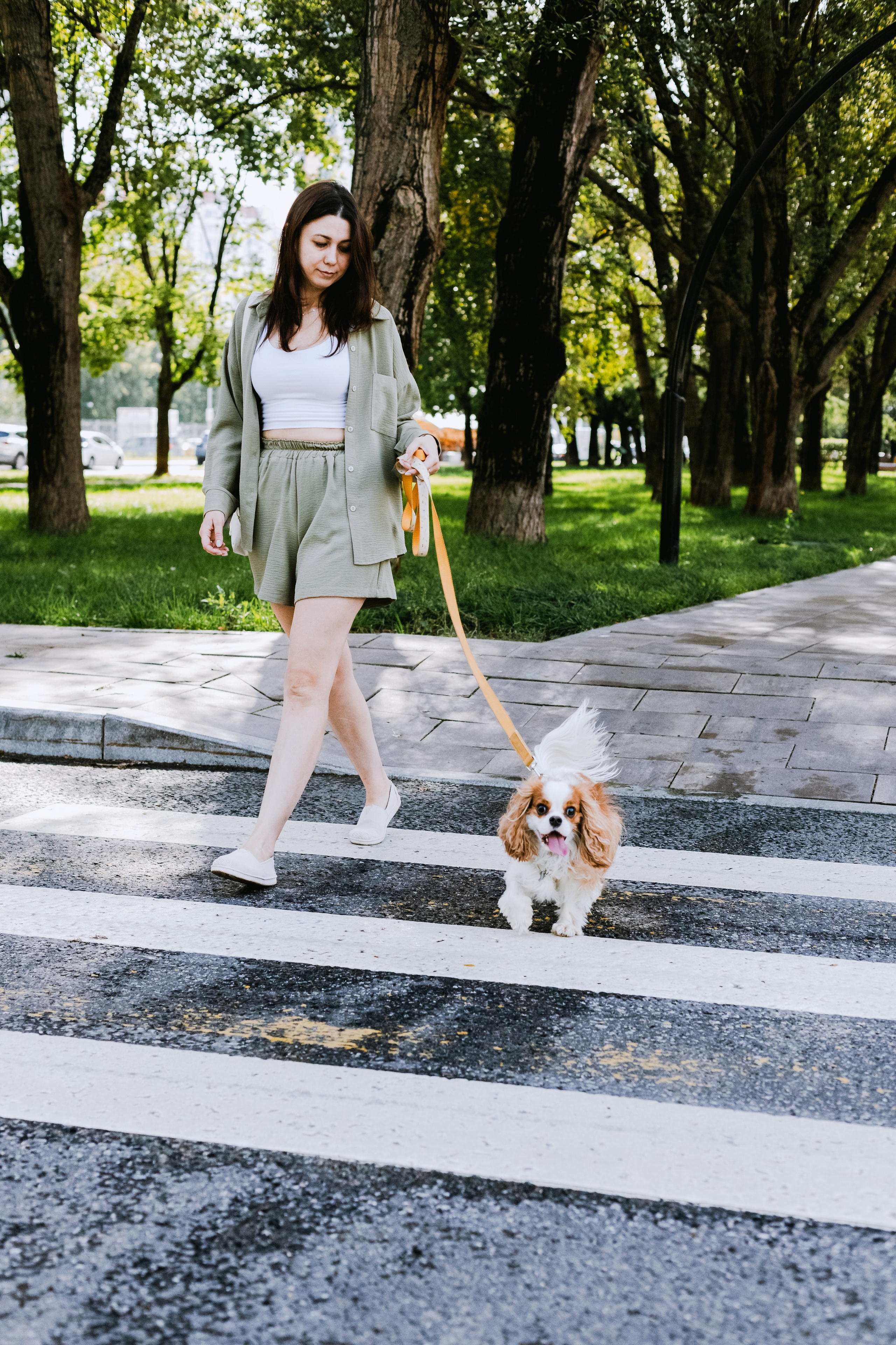 Фотопрогулка на бульваре. Фотограф-анималист Татьяна Степанова