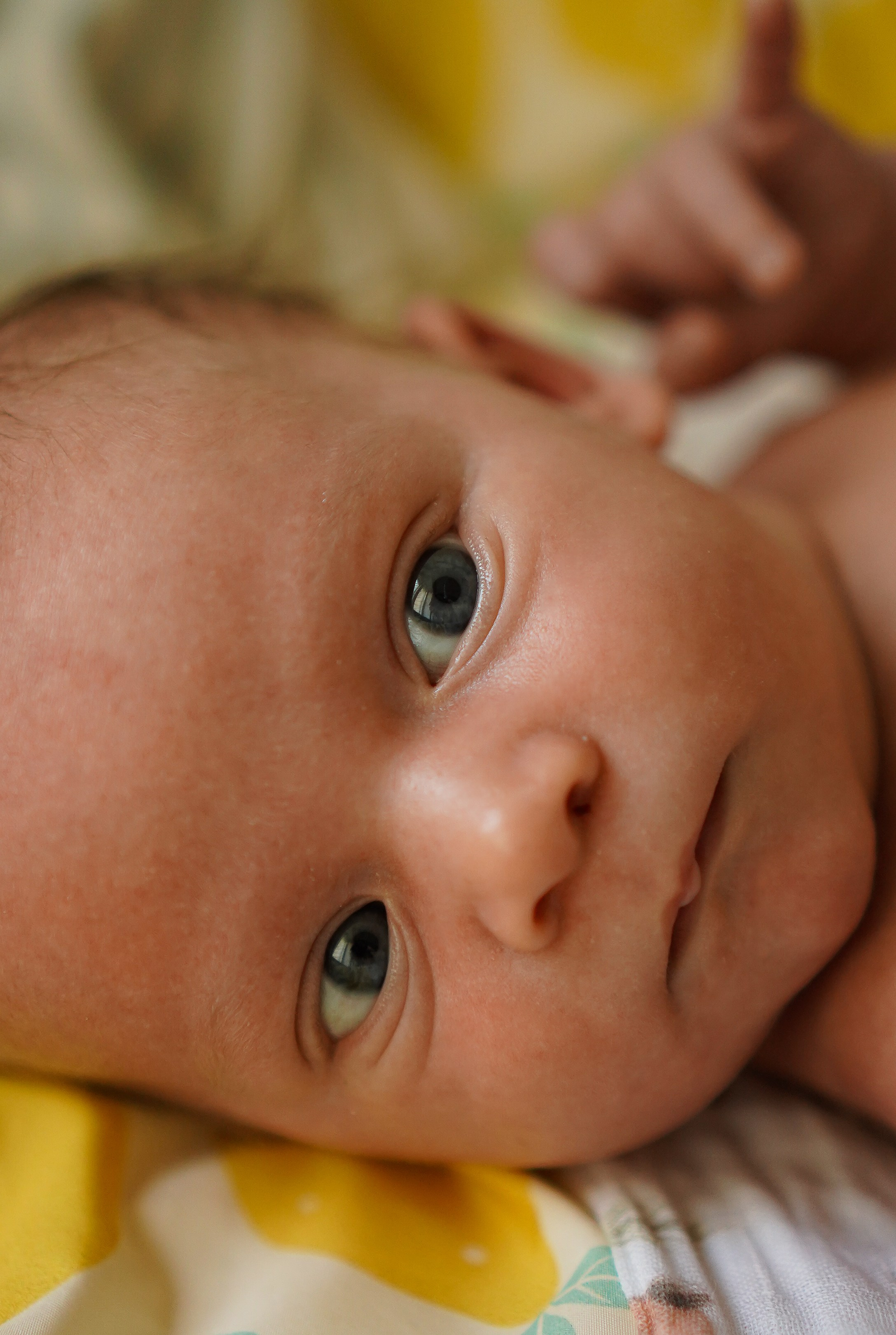Федя, новенький на планете. Семейный фотограф в Москве Коровушкина Наталья. Съемка контента