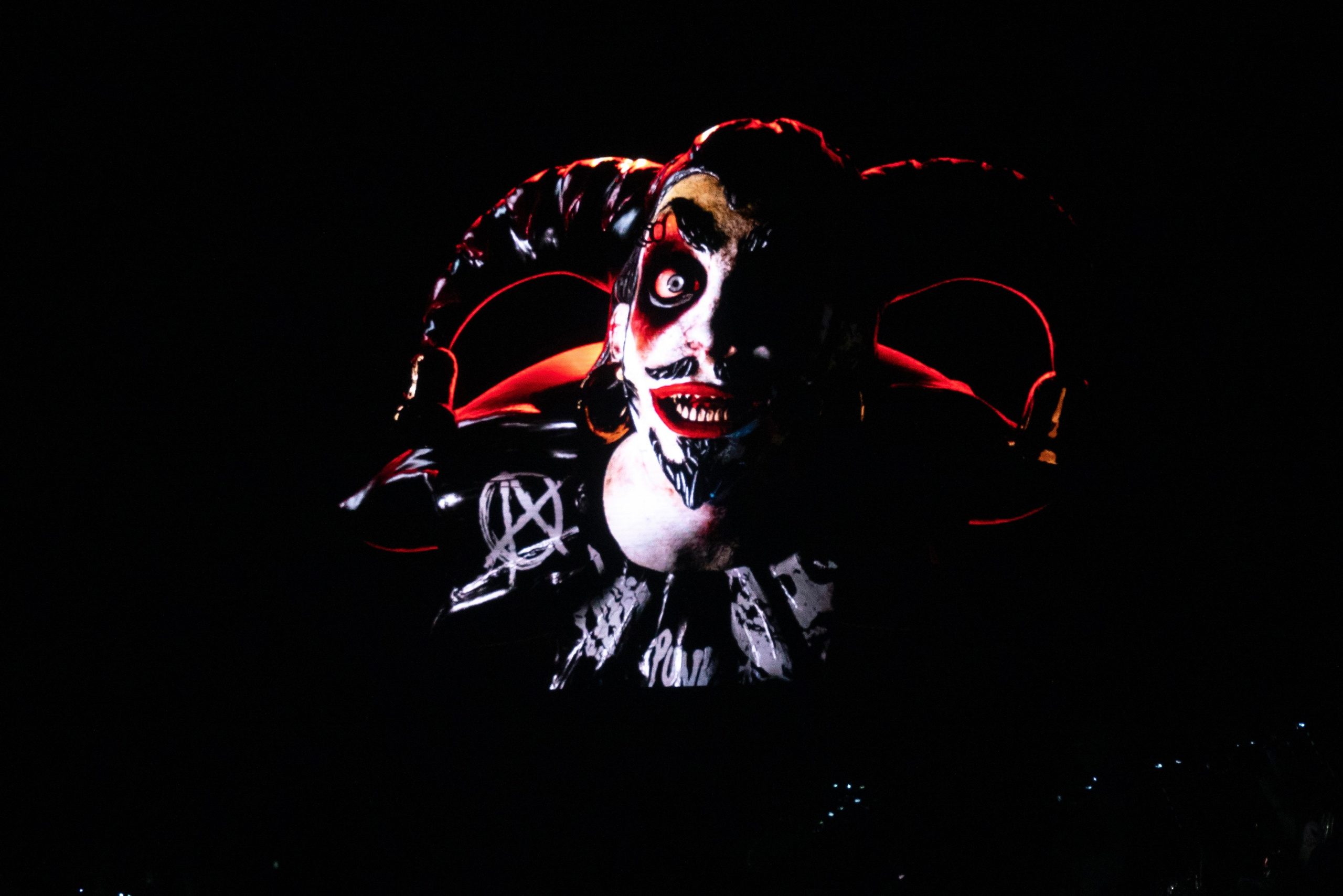 Симфоническое шоу панк-сказка «Король и Шут». Фотограф-анималист в Москве Юлия Лайхо