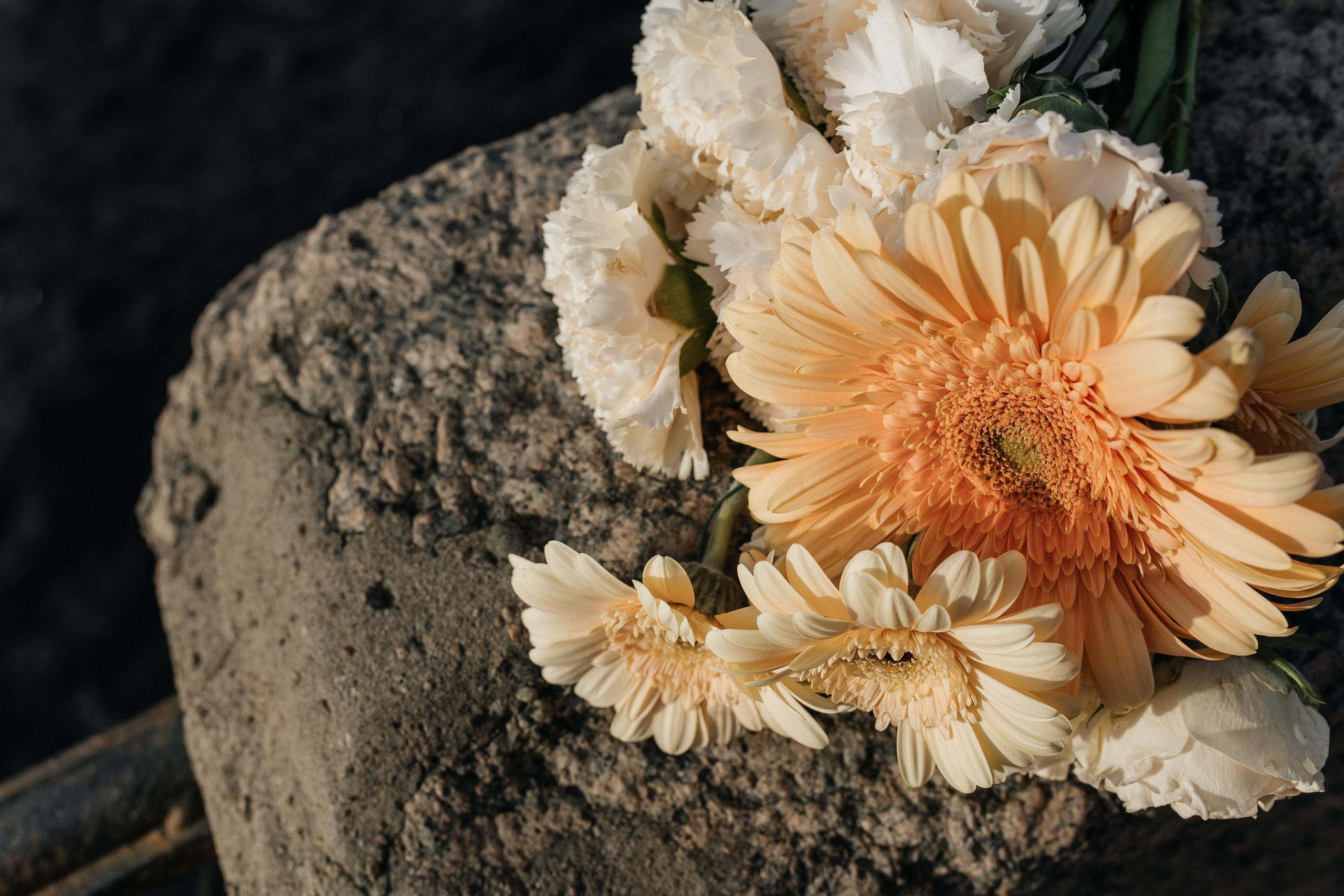 Максим и Настя. Фотограф в Томске Ирина Павлуцкая