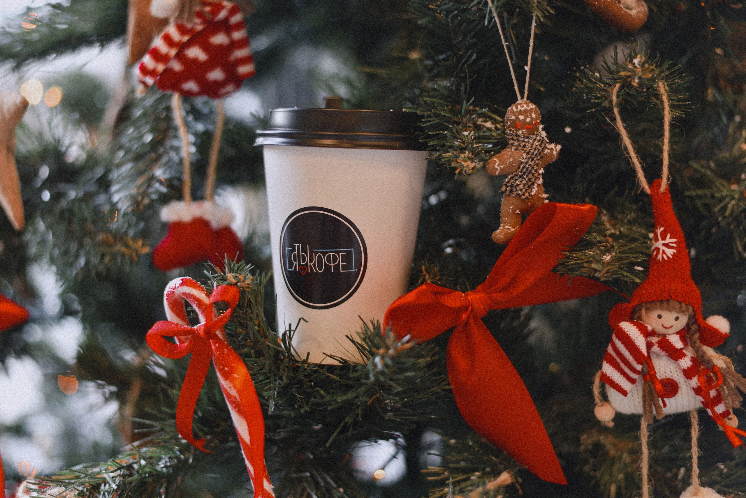 Новогодний кофе. Нежный фотограф Вера Папиж