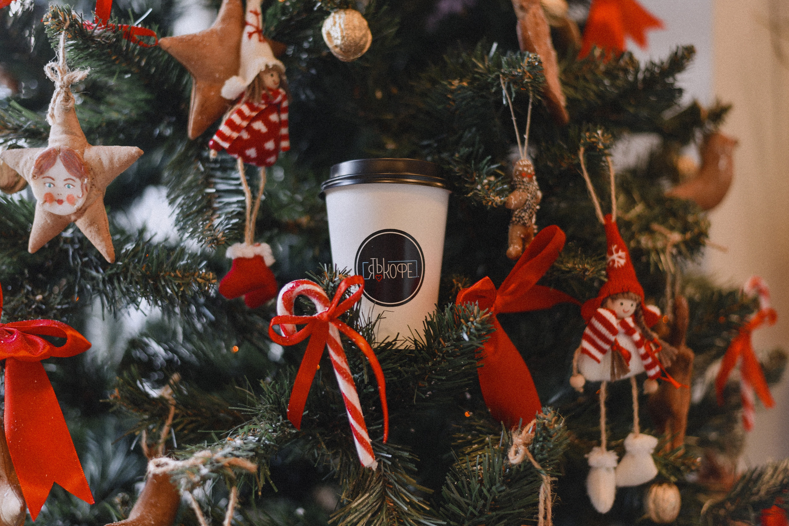 Новогодний кофе. Нежный фотограф Вера Папиж