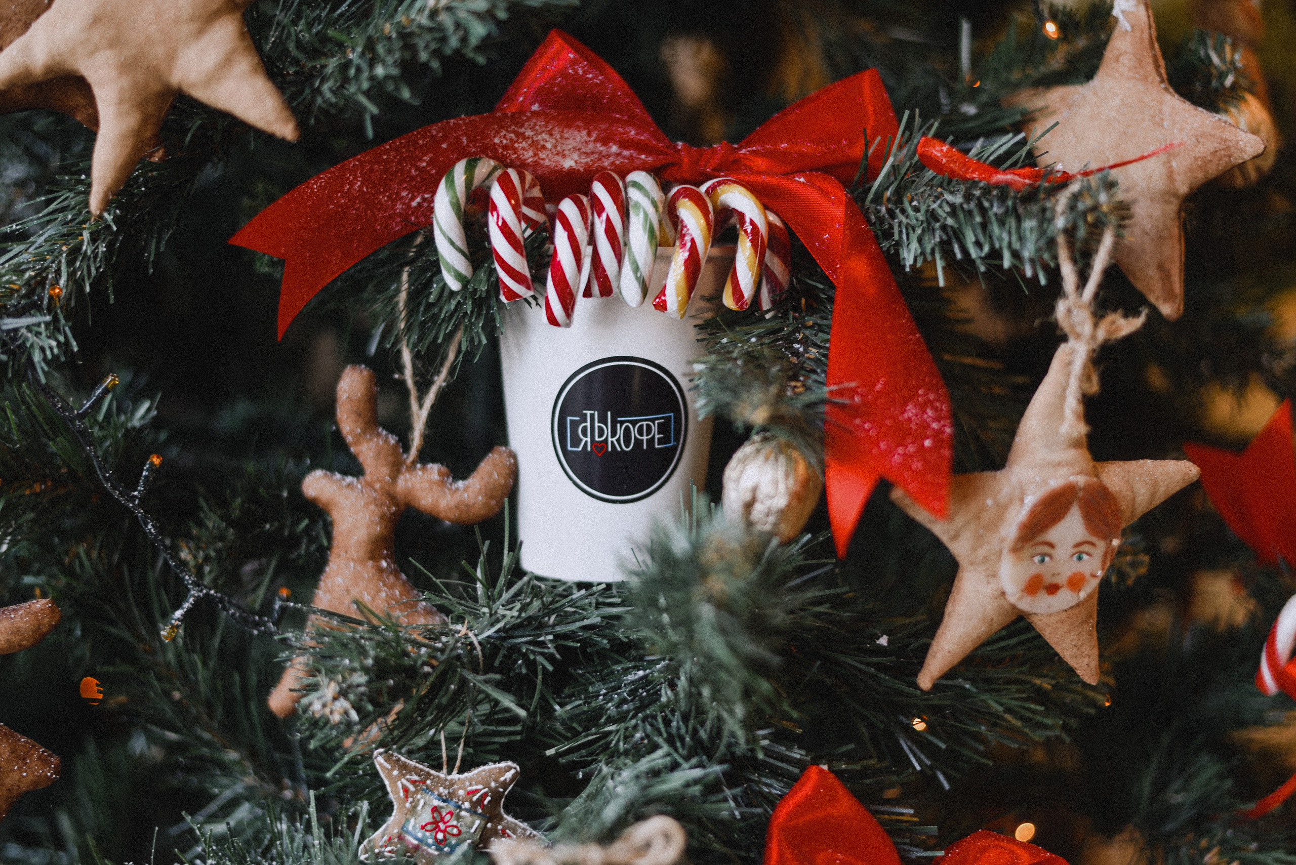 Новогодний кофе. Нежный фотограф Вера Папиж