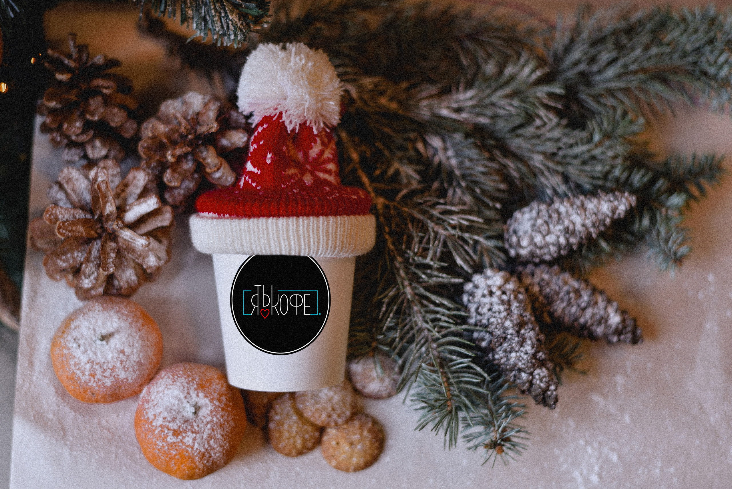 Новогодний кофе. Нежный фотограф Вера Папиж