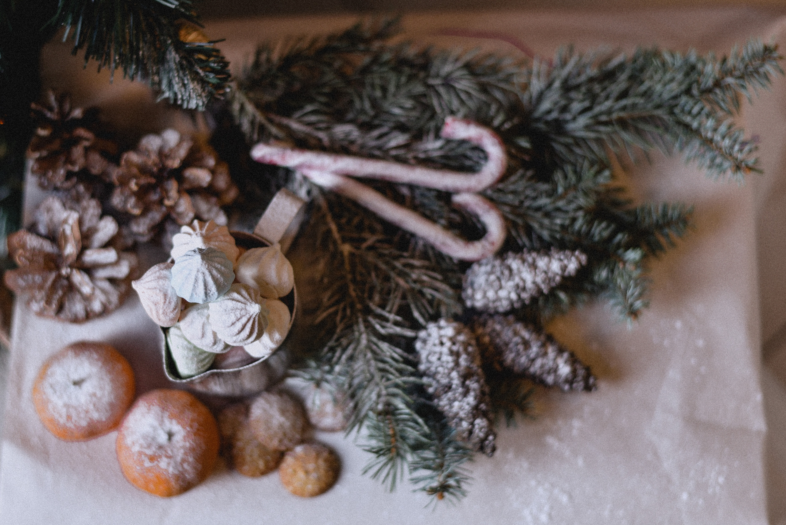 Новогодний кофе. Нежный фотограф Вера Папиж