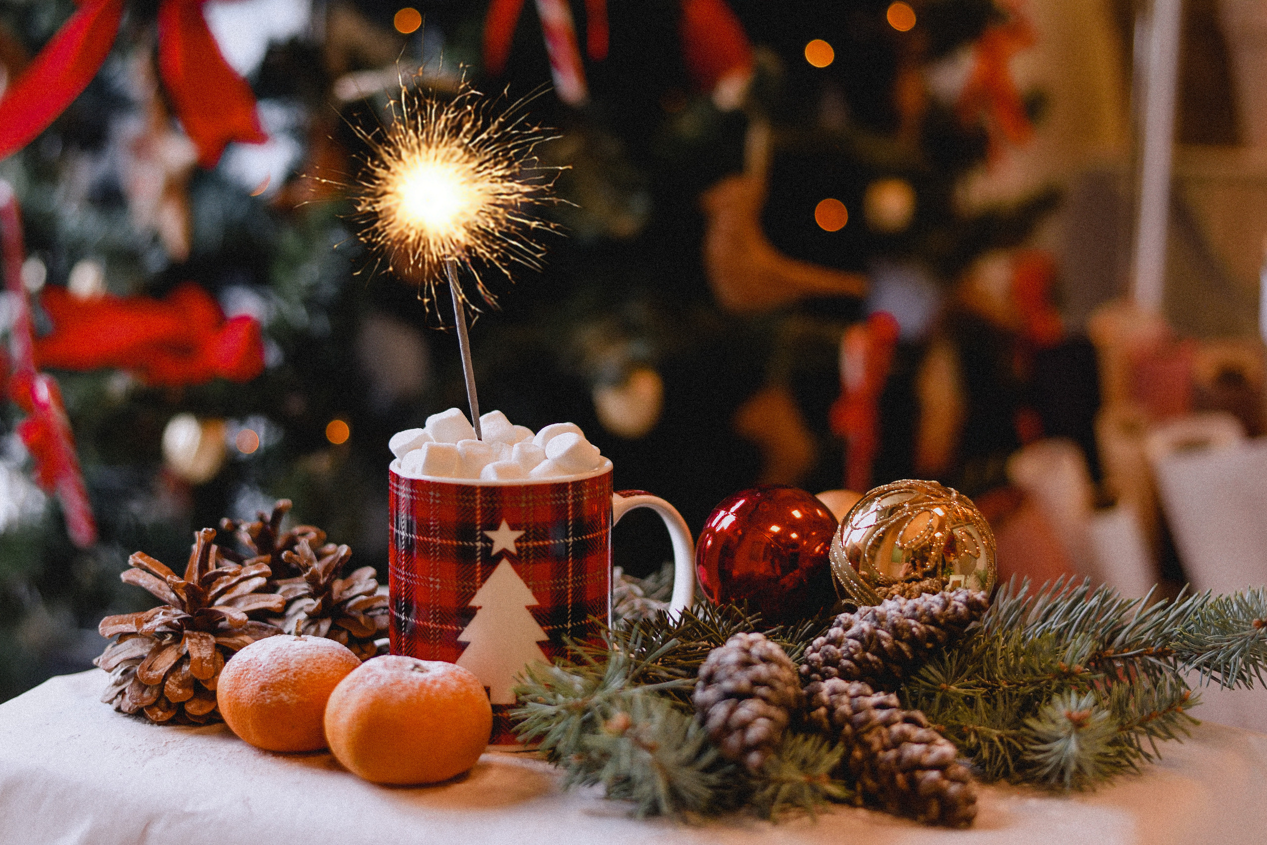 Новогодний кофе. Нежный фотограф Вера Папиж