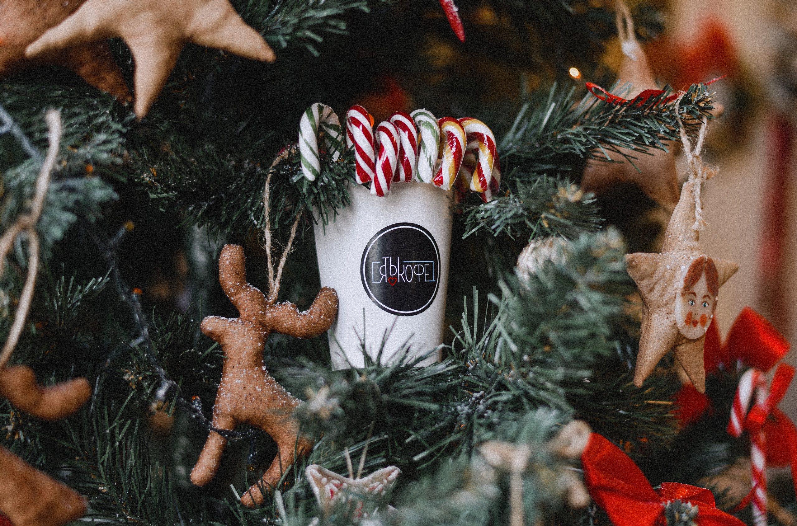 Новогодний кофе. Нежный фотограф Вера Папиж