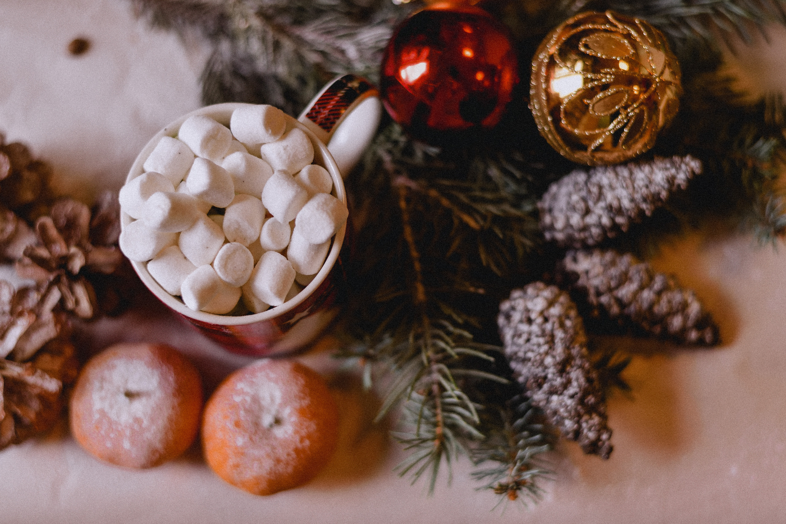 Новогодний кофе. Нежный фотограф Вера Папиж