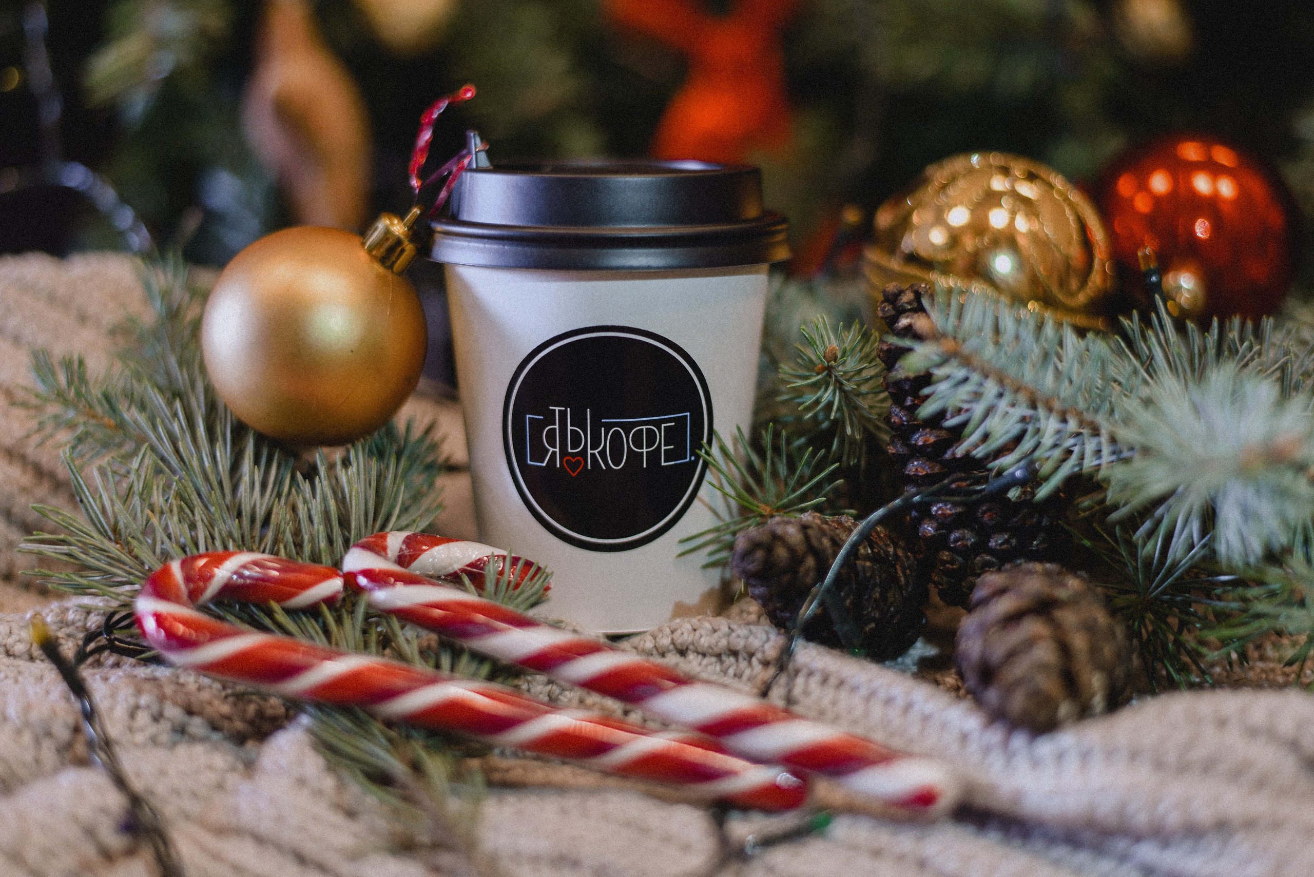Новогодний кофе. Нежный фотограф Вера Папиж
