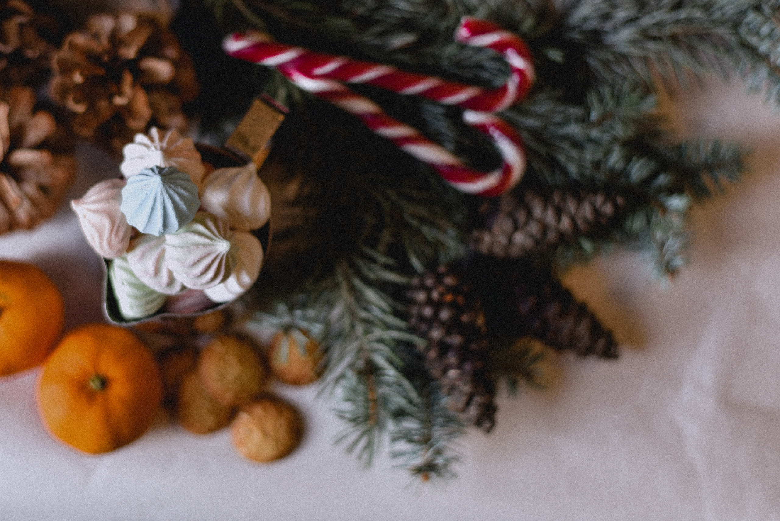 Новогодний кофе. Нежный фотограф Вера Папиж