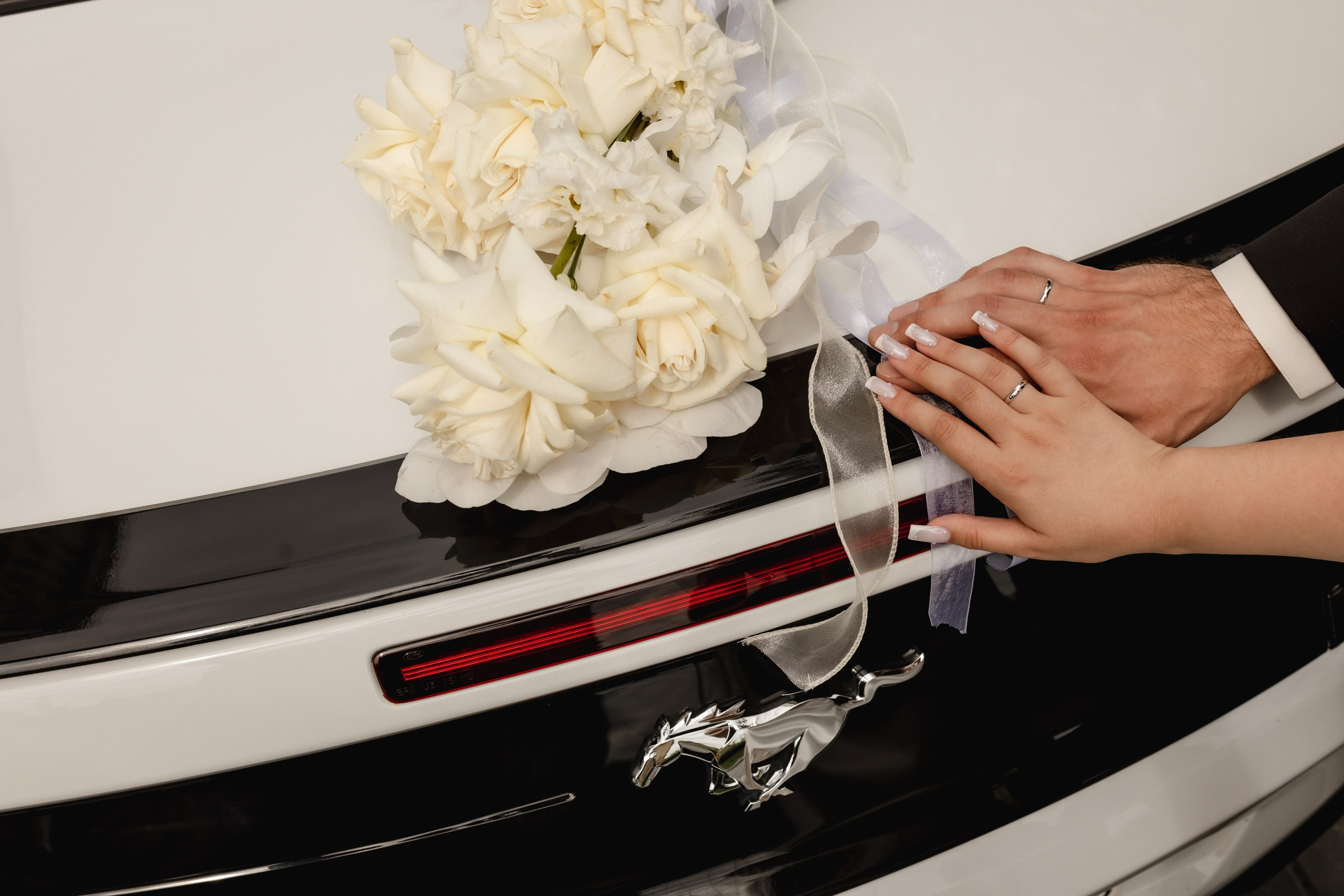 Максим и Анастасия. Инна Вильт| лайфстайл фотограф из Новосибирска