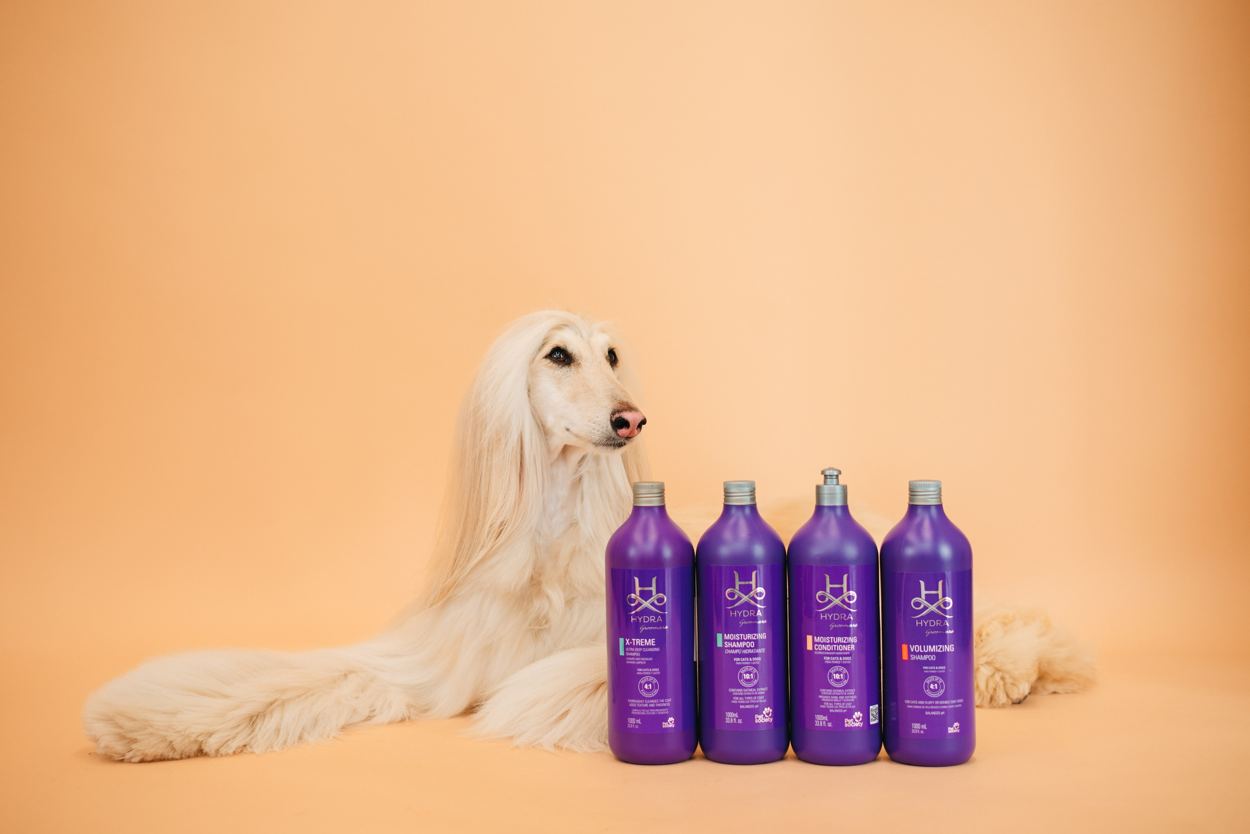 Груминг — салон. Фотограф анималист Осипчикова Мария