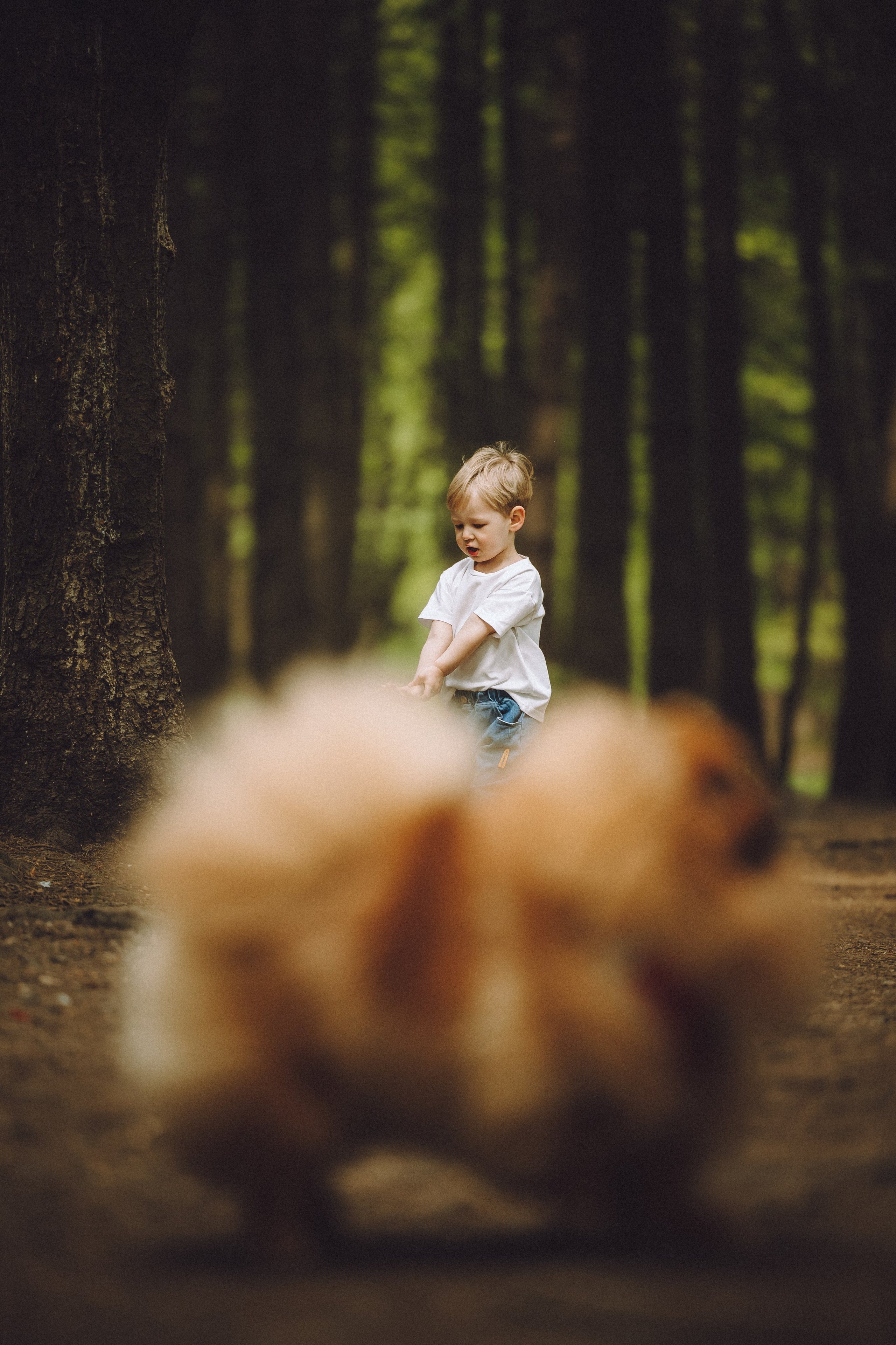 Лорик и его семья