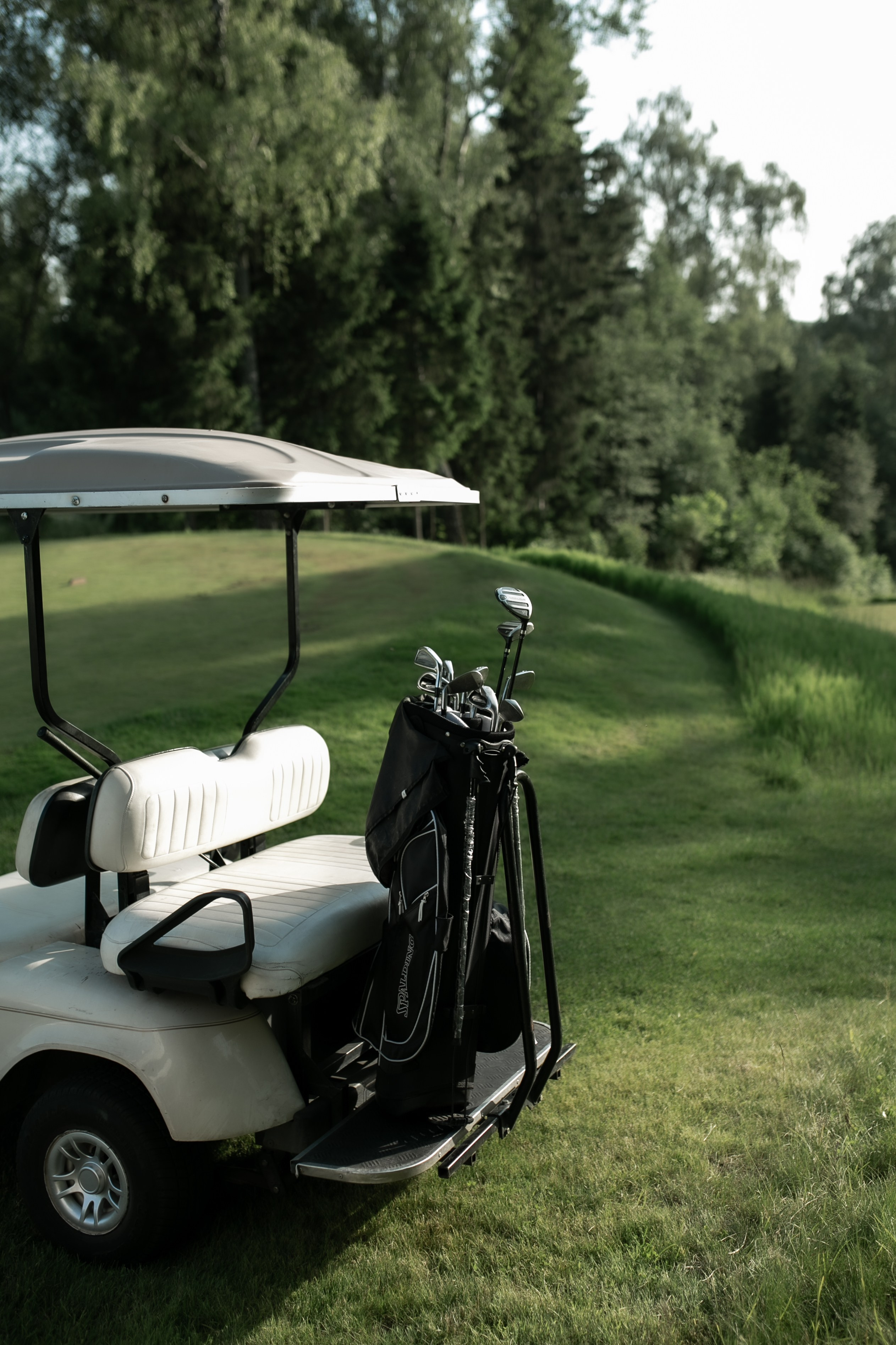 Alina & Georgy Golf Wed