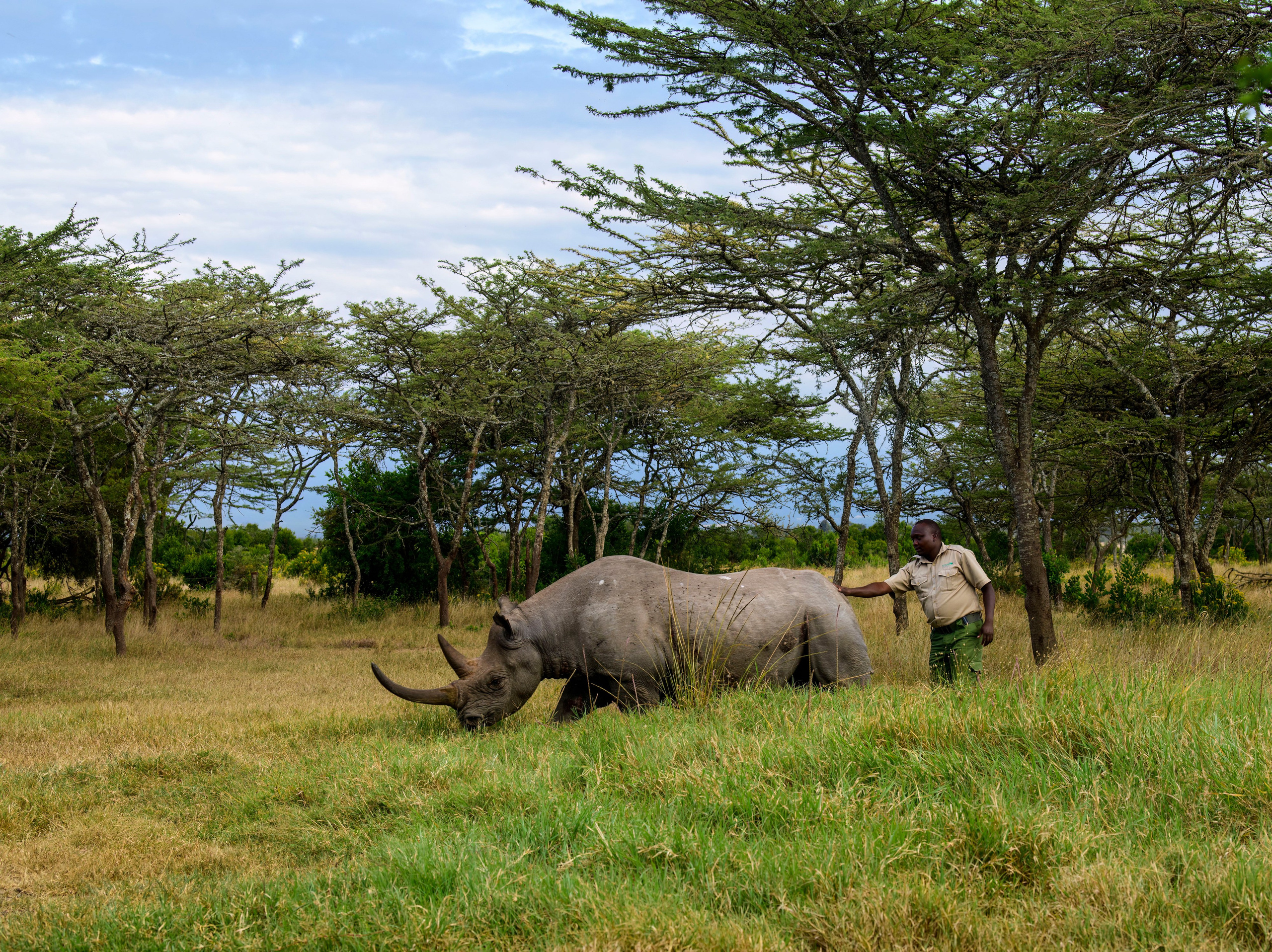 Кения. Wildlife photography by Sergey Puponin