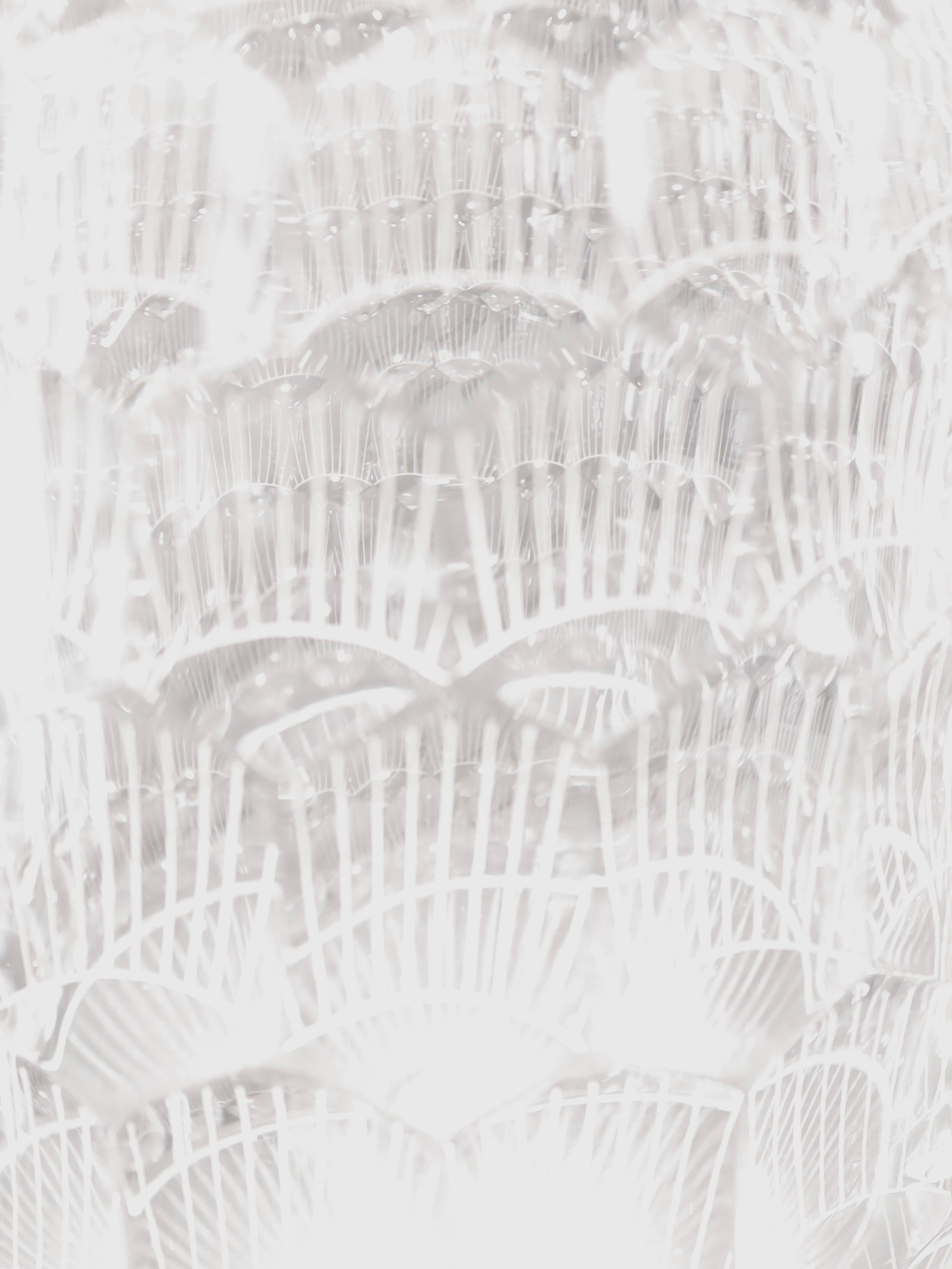 Выставка Степени прозрачности. Фотосессии и репортаж — Фотограф в Москве — Рина Серёгина