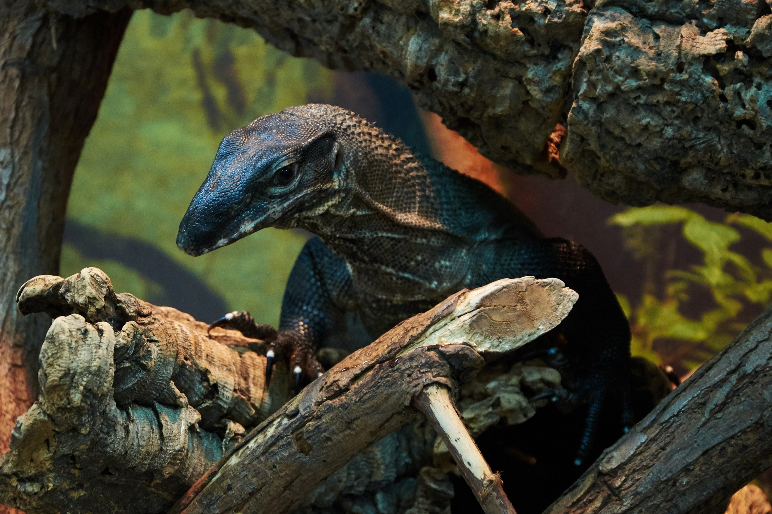 Ольга Чёкотова (Фотограф Кострома)