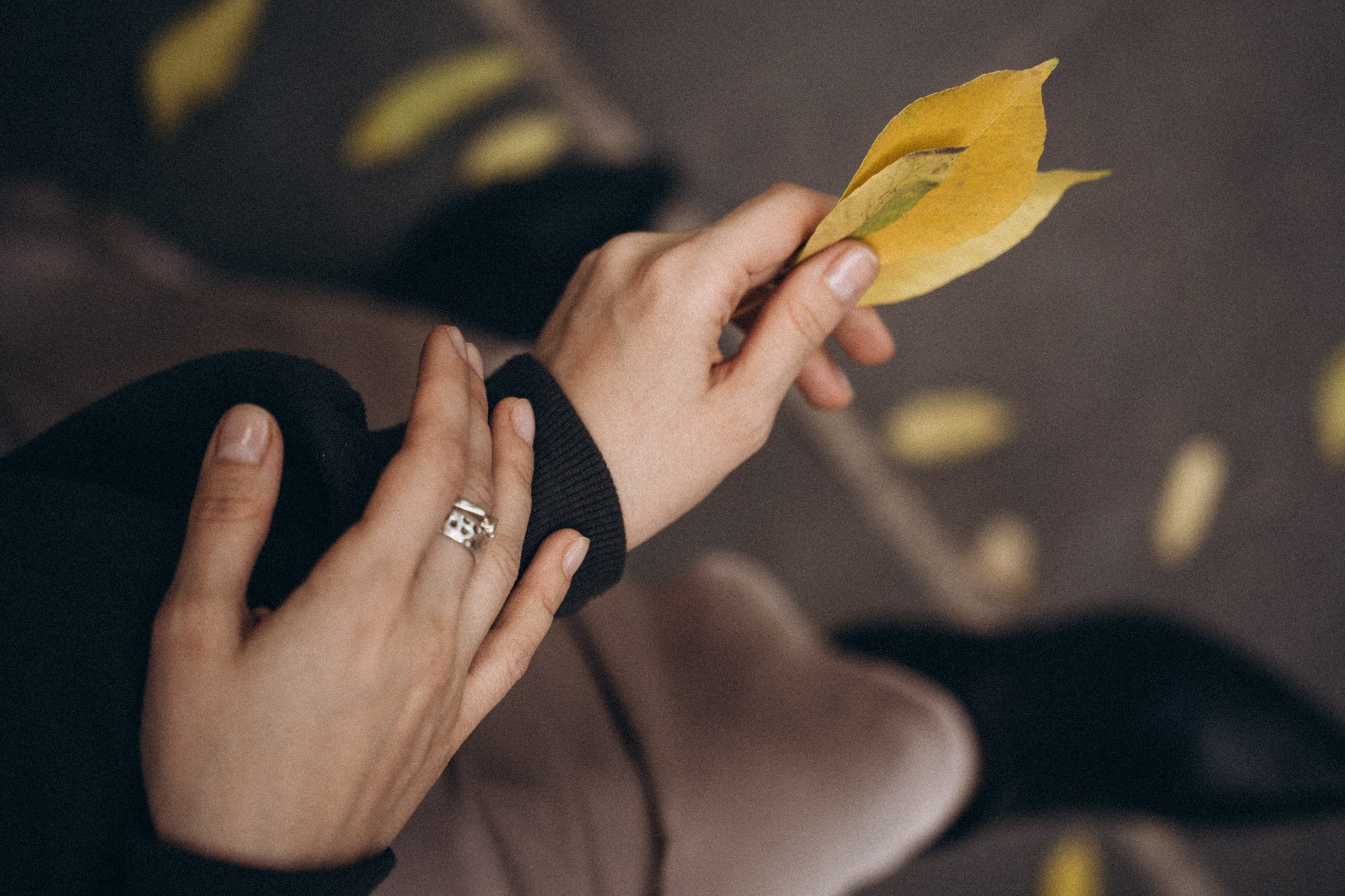 Мария и осень. Даша Яковенко Фотограф Спб