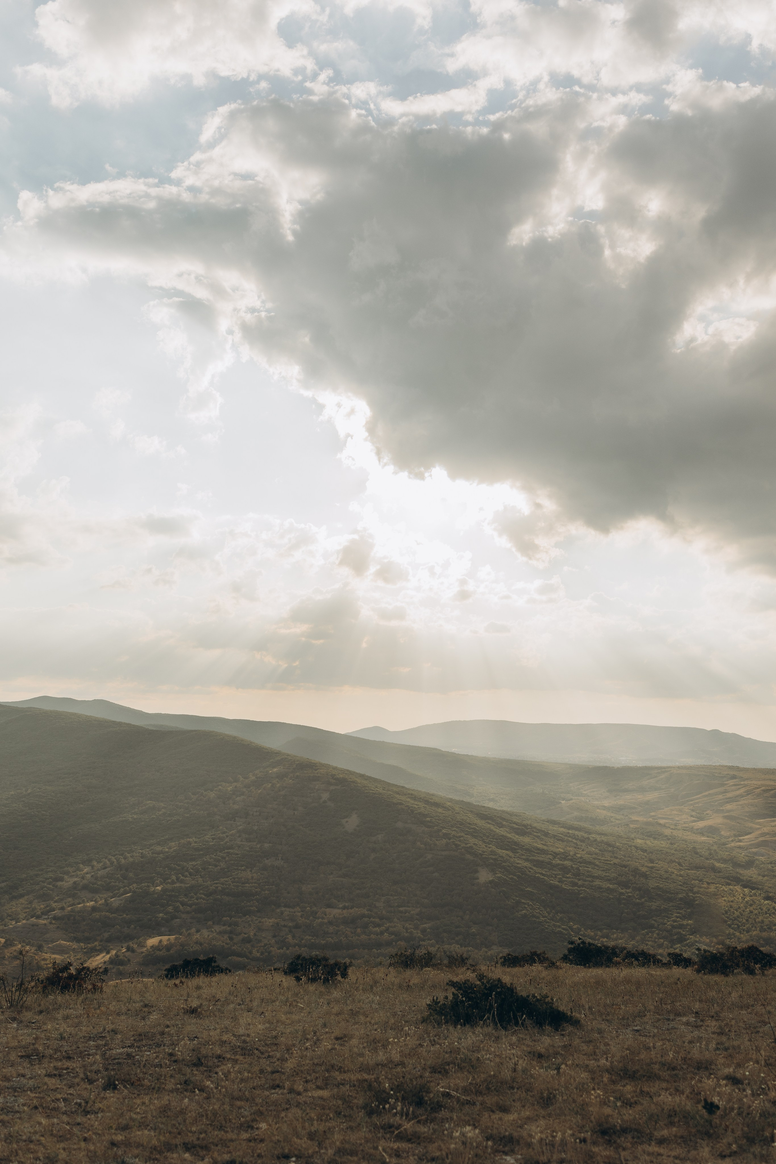 Воздушный змей. Семейный фотограф в Москве Виктория Ястребинская