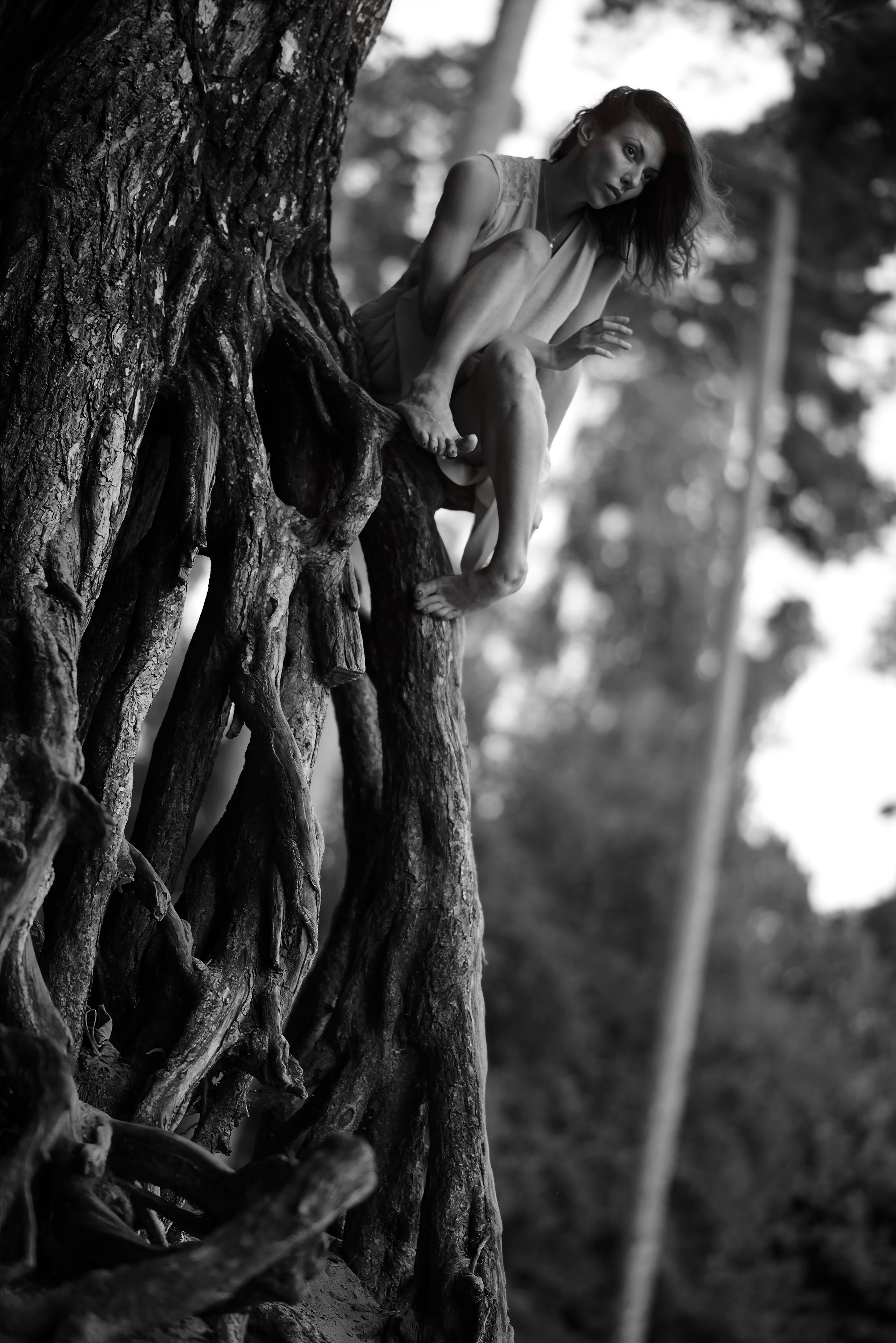 Altay | Summer. Bekagaev photography