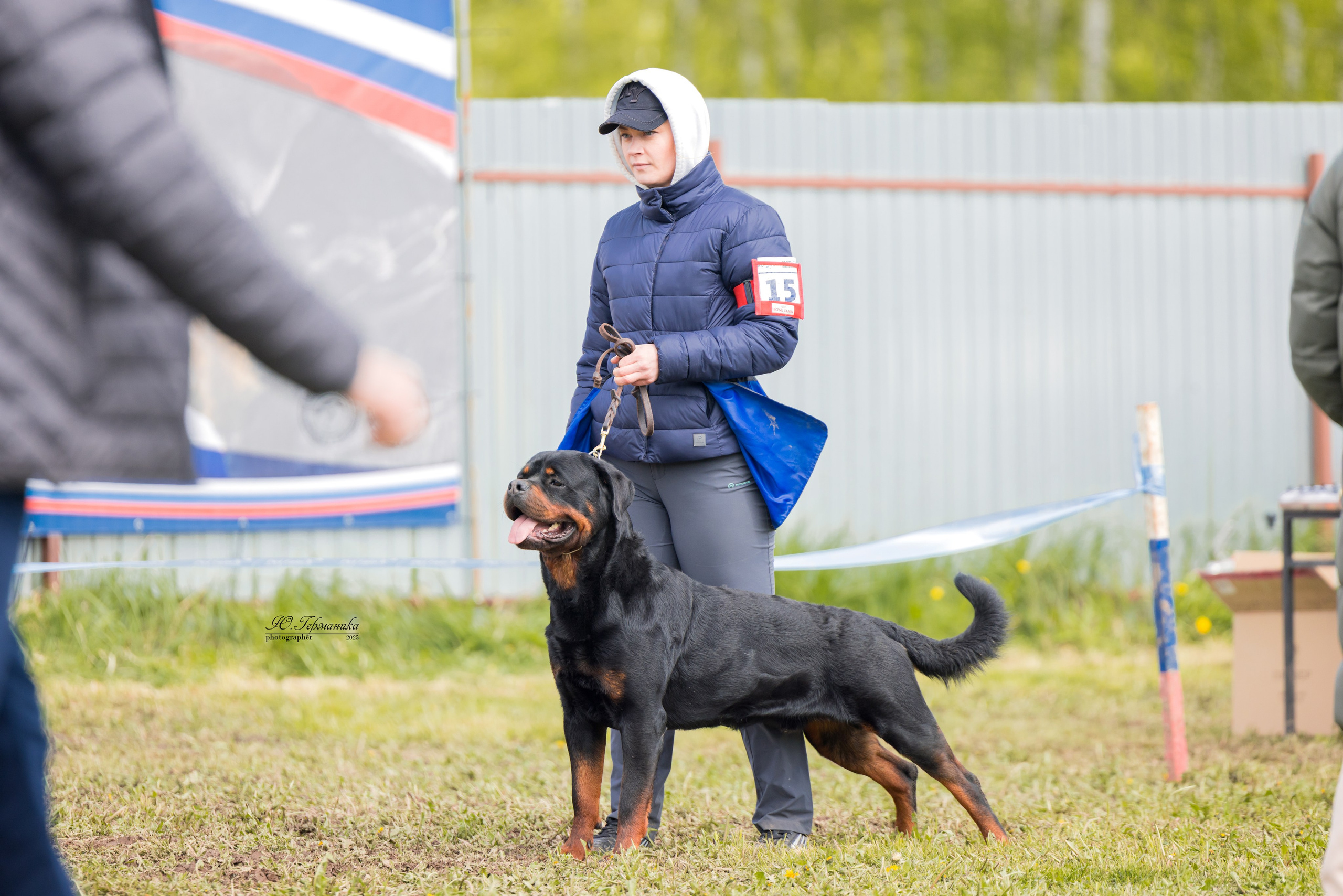 Нижний Новгород 2хмоно ротвейлеров 10-11.05.2025. Фотограф-анималист Юлия Германика